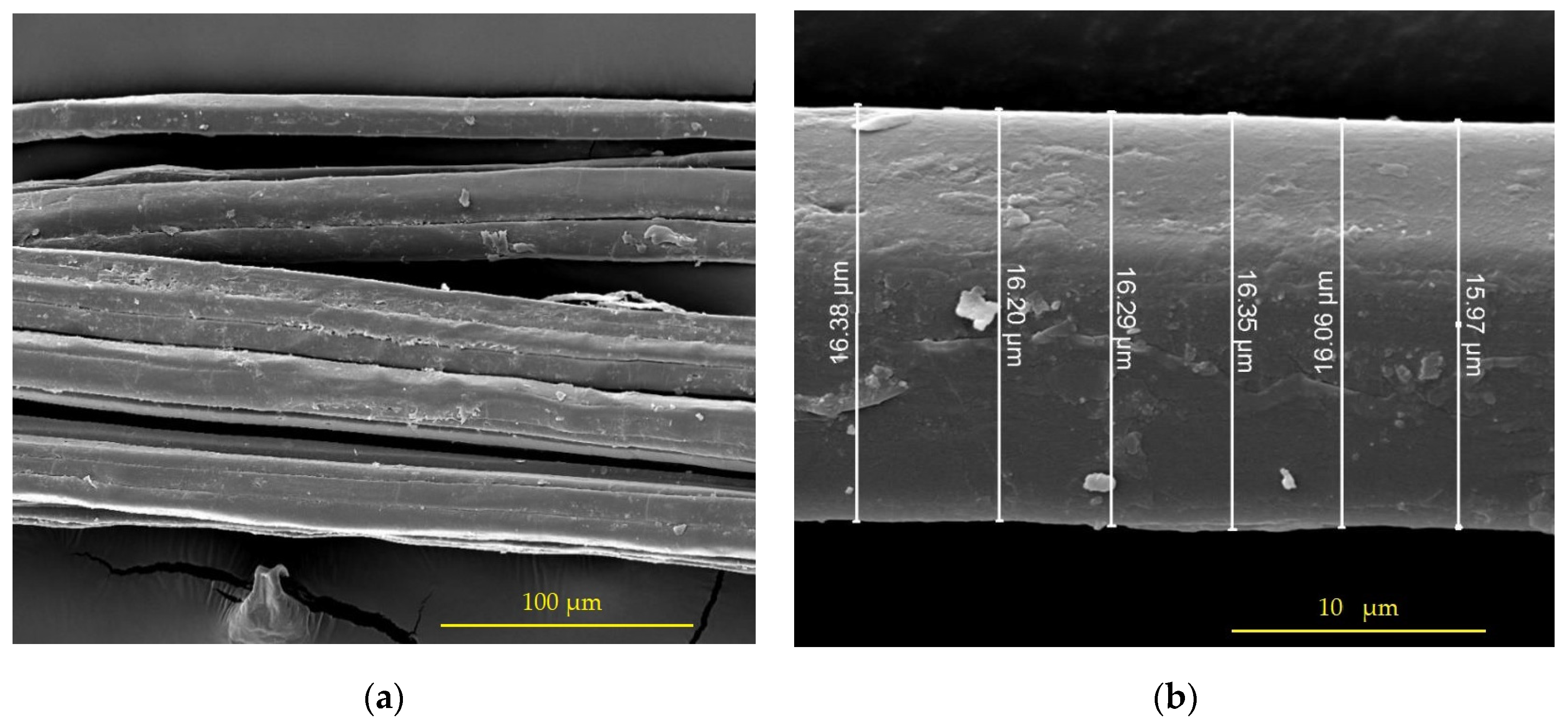 Polymers 15 01571 g005