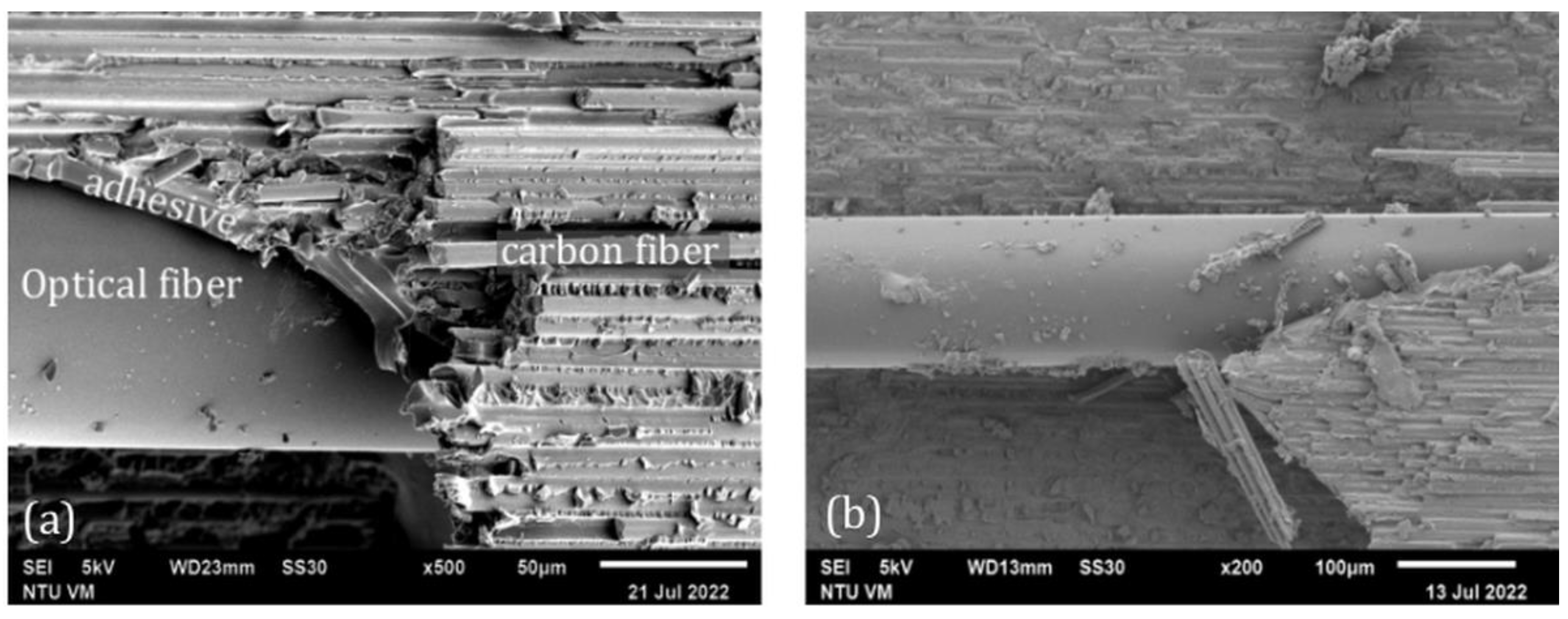 Polymers 15 01575 g009