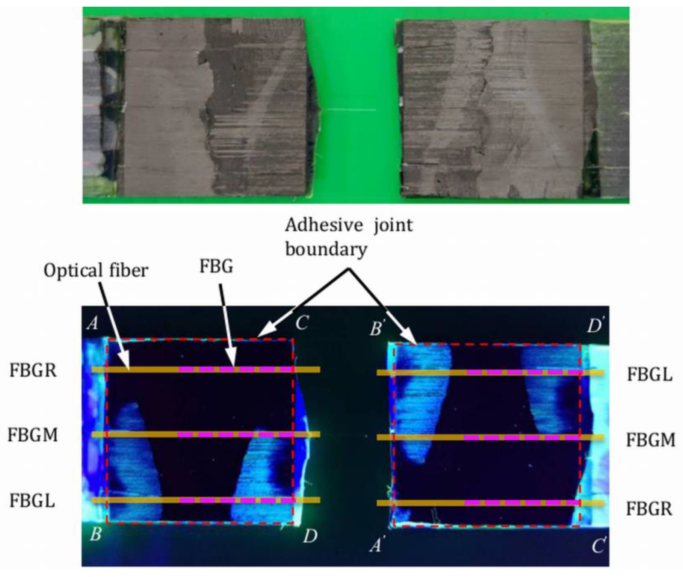 Polymers 15 01575 g013