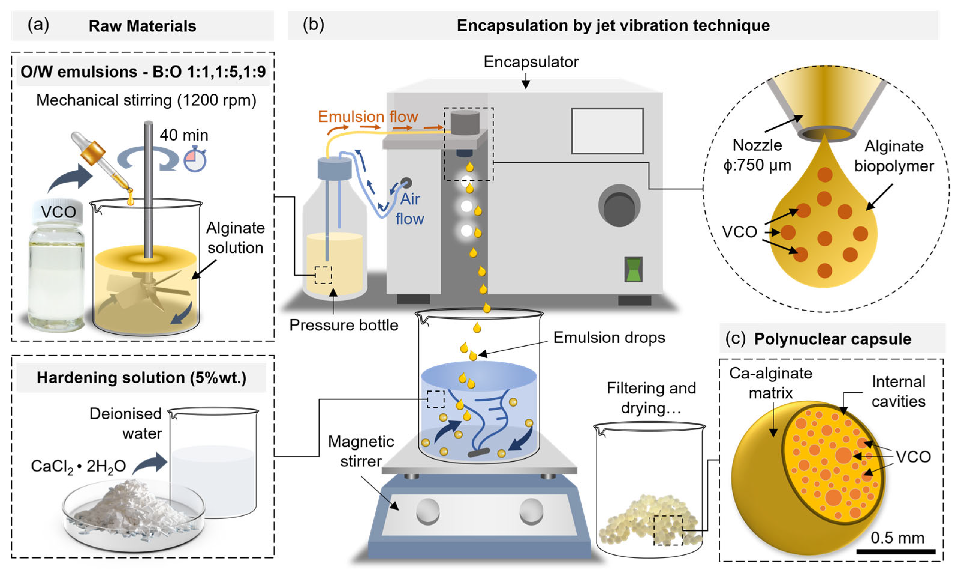 Polymers 15 01578 g003 Polymers 15 01578 g003
