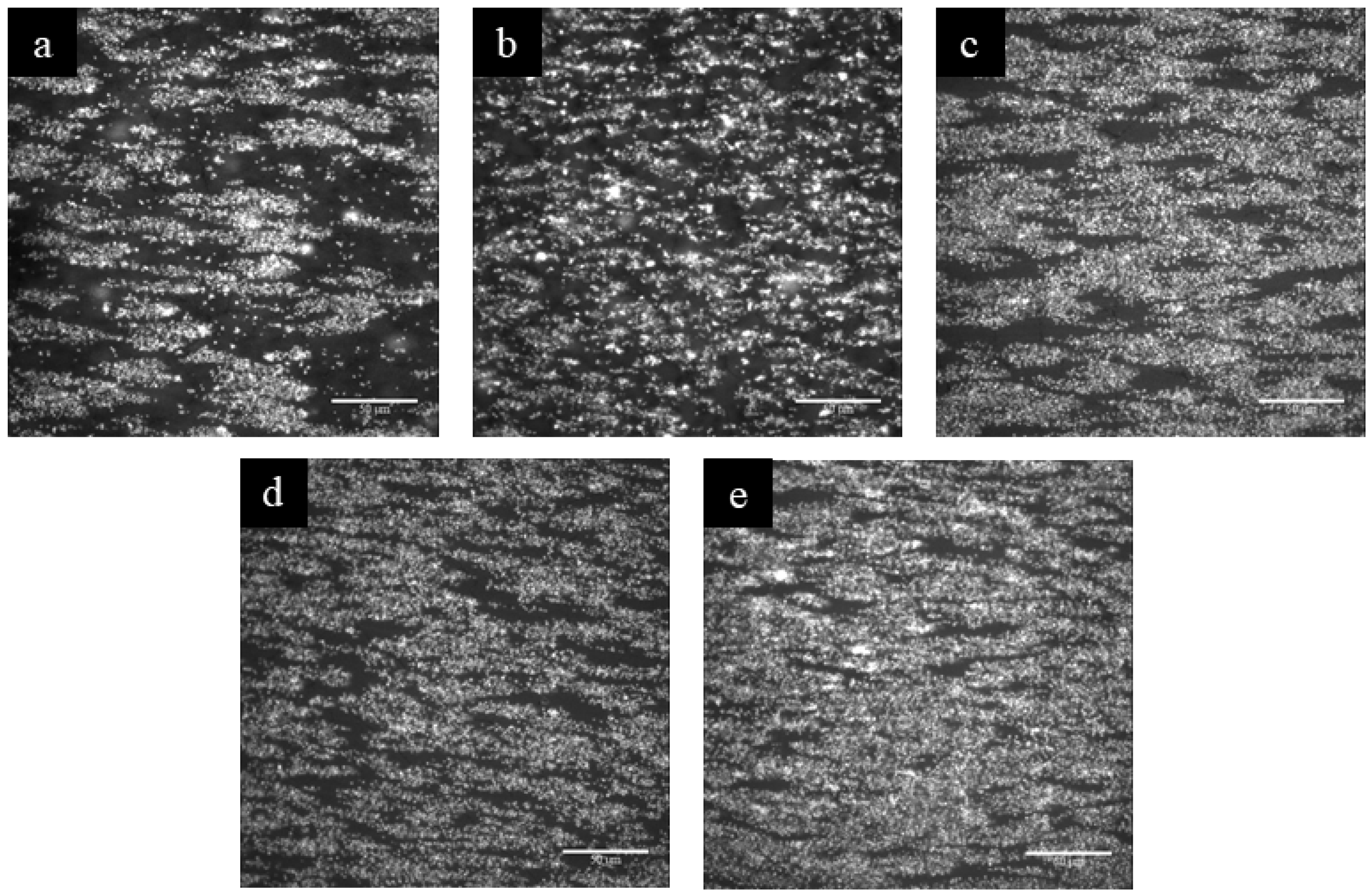 Polymers 15 01580 g004 Polymers 15 01580 g004