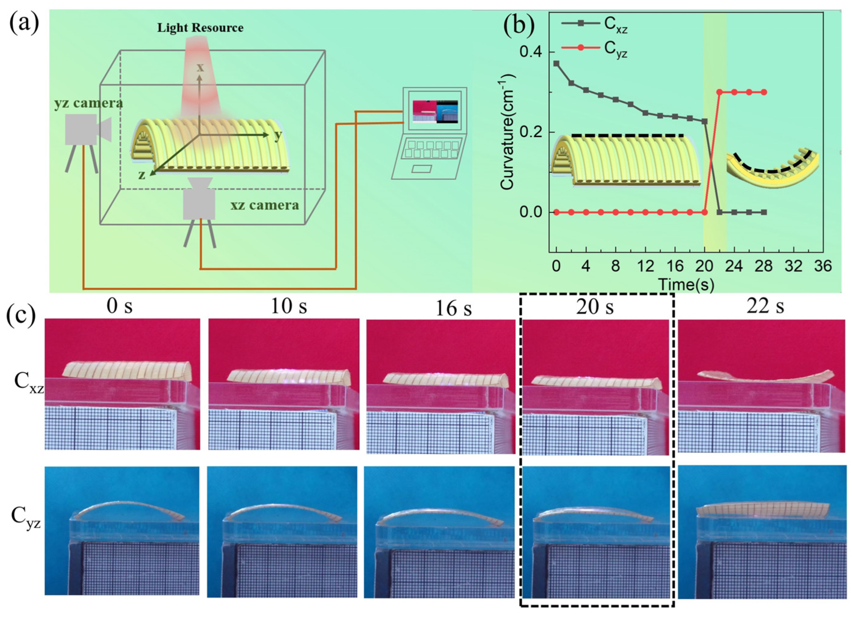 Polymers 15 01585 g007 Polymers 15 01585 g007