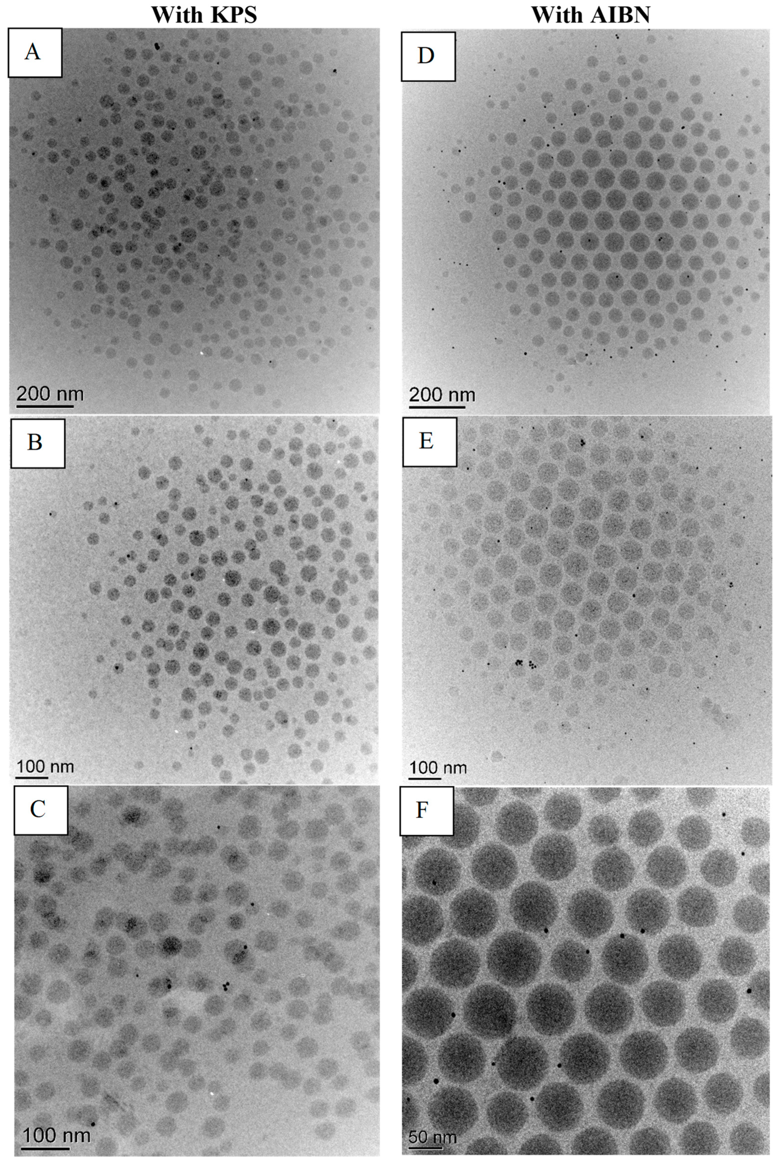 Polymers 15 01586 g001 Polymers 15 01586 g001