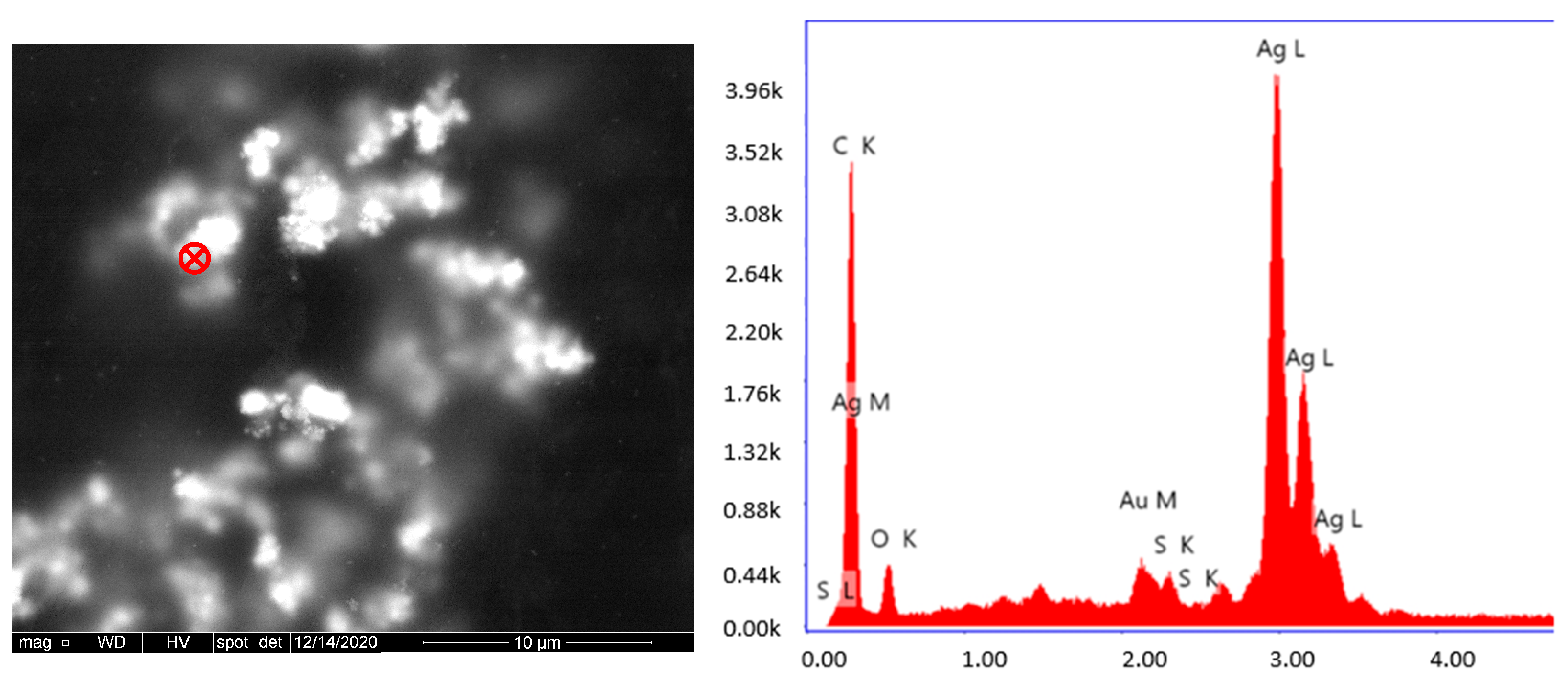 Polymers 15 01586 g003 Polymers 15 01586 g003