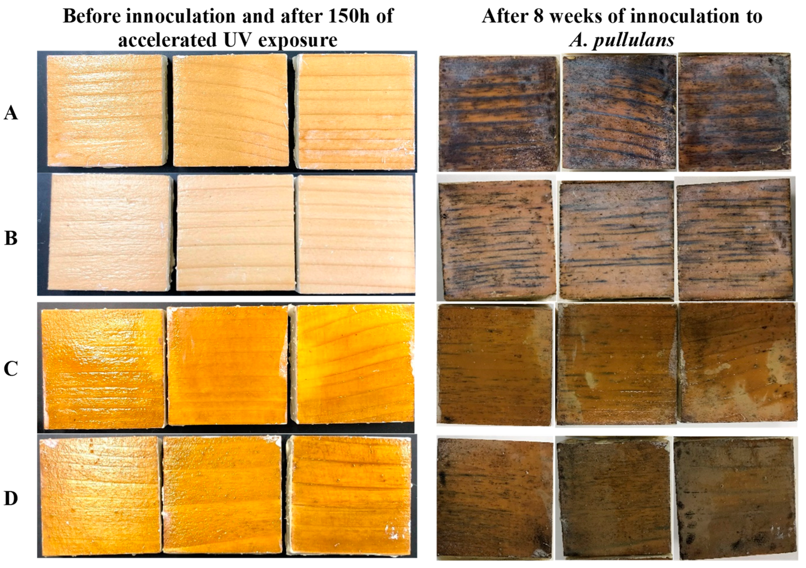 Polymers 15 01586 g005 Polymers 15 01586 g005