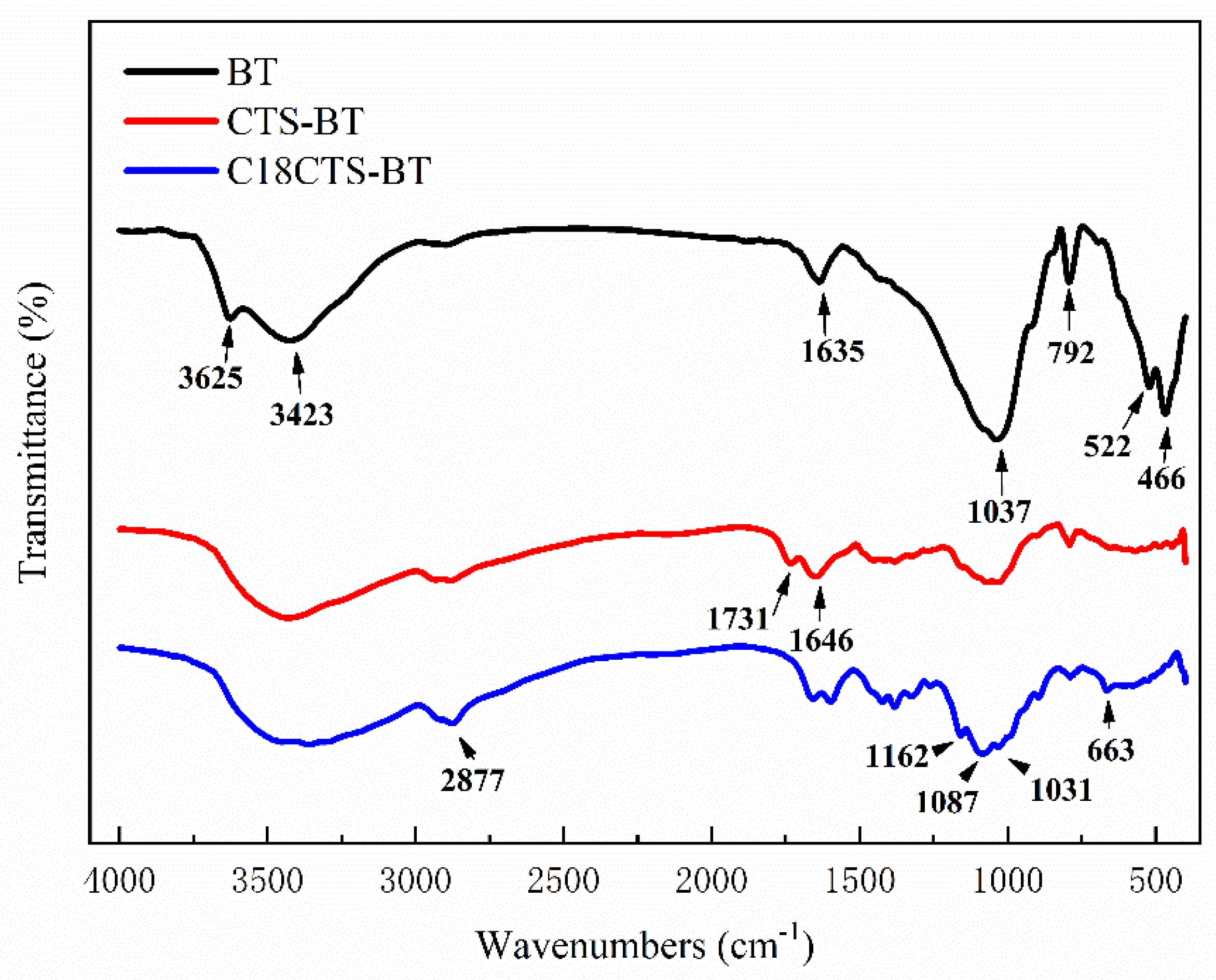 Polymers 15 01588 g002