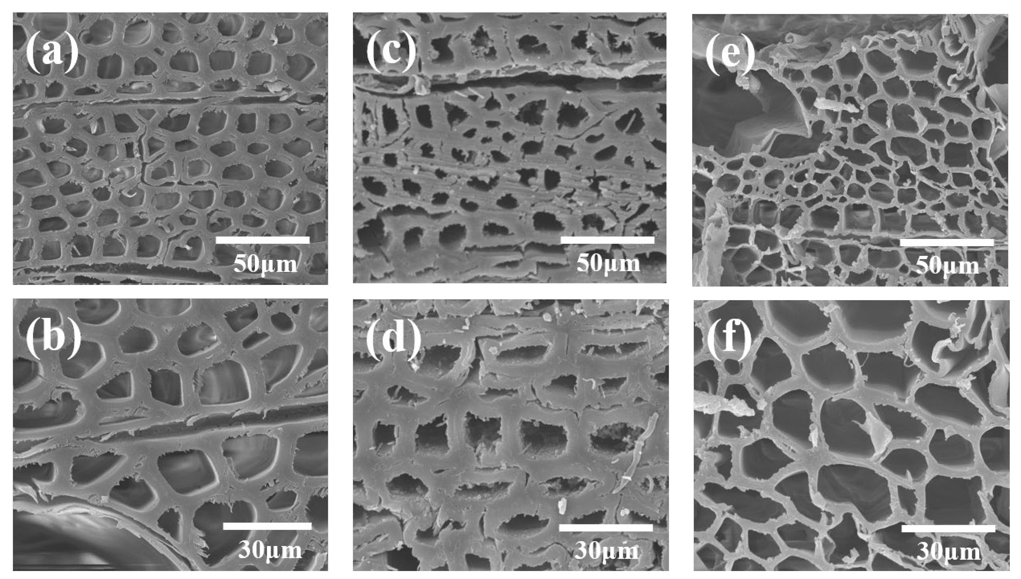 Polymers 15 01593 g003 Polymers 15 01593 g003