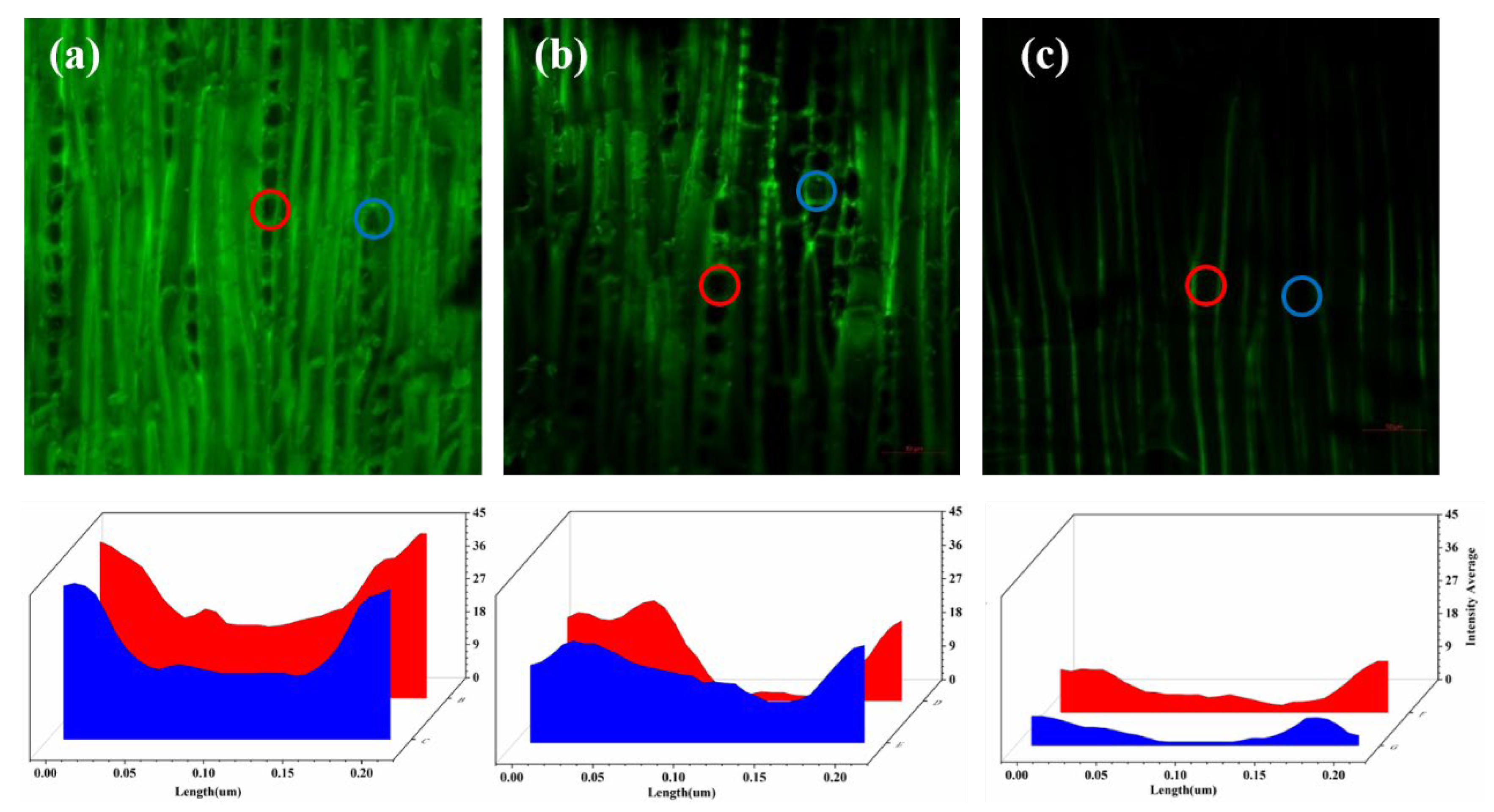 Polymers 15 01593 g007 Polymers 15 01593 g007