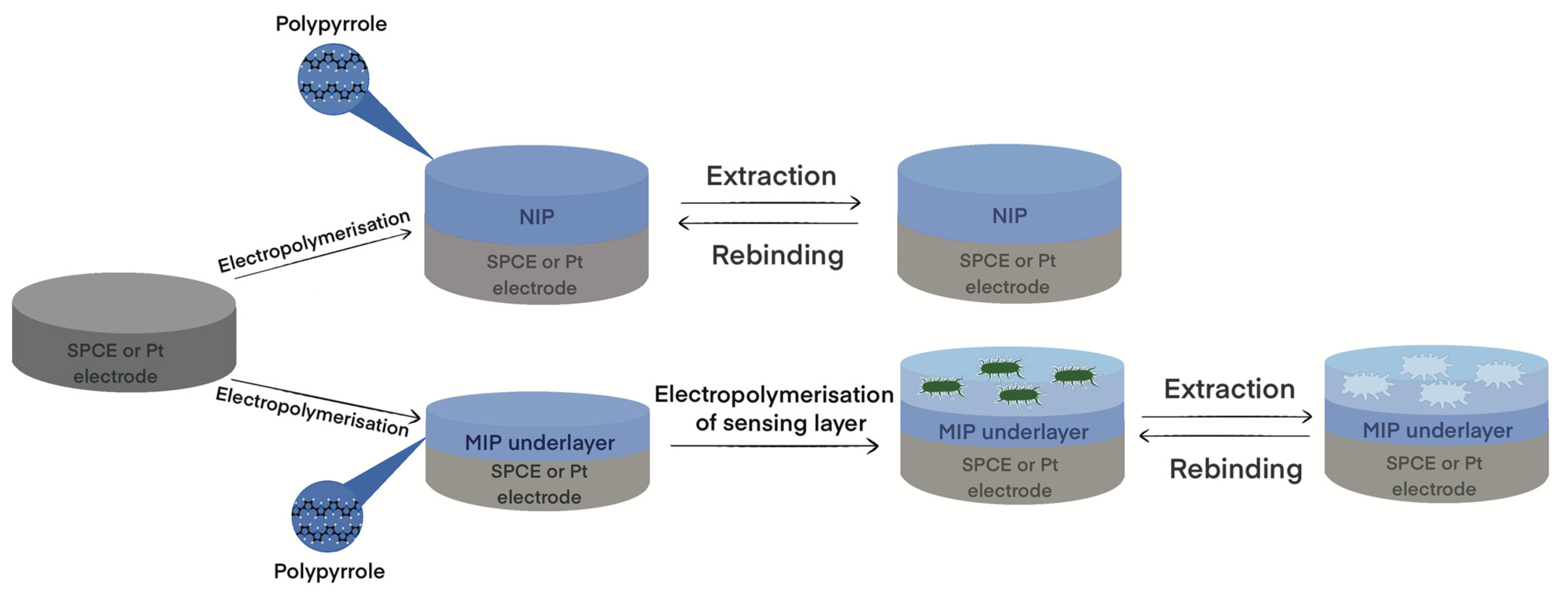 Polymers 15 01597 sch001 Polymers 15 01597 sch001