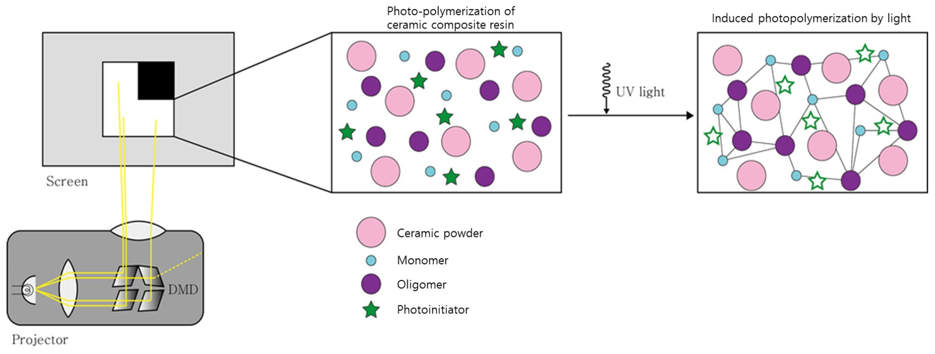 Polymers 15 01601 g001