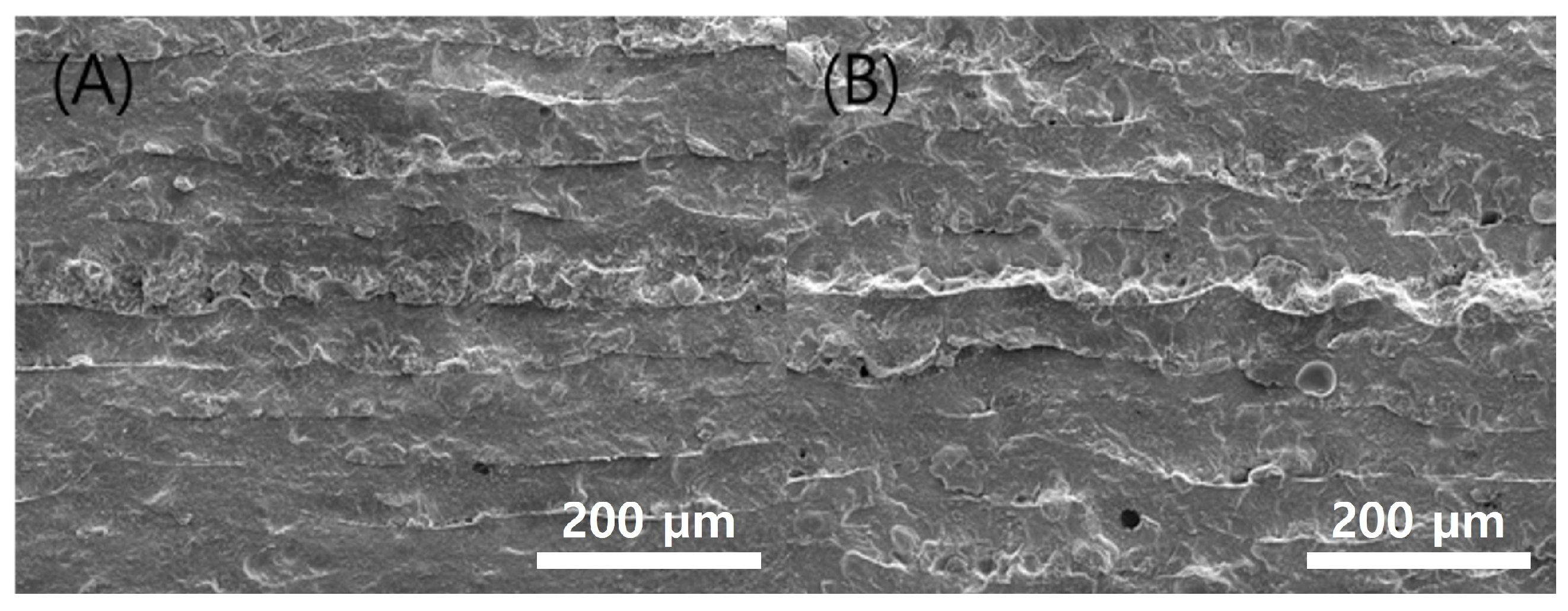 Polymers 15 01601 g009