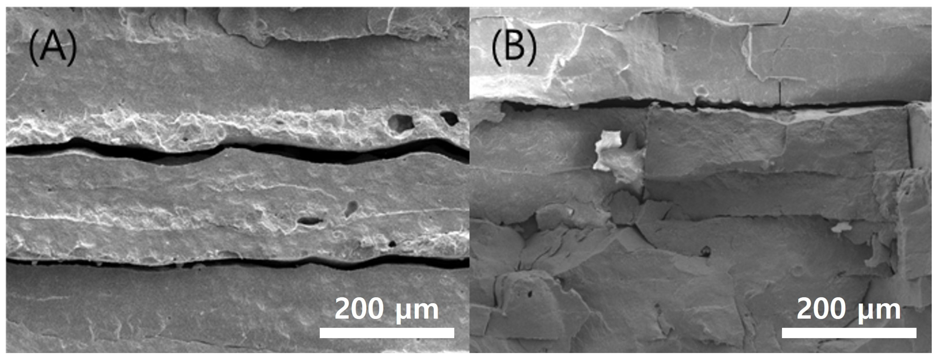 Polymers 15 01601 g011