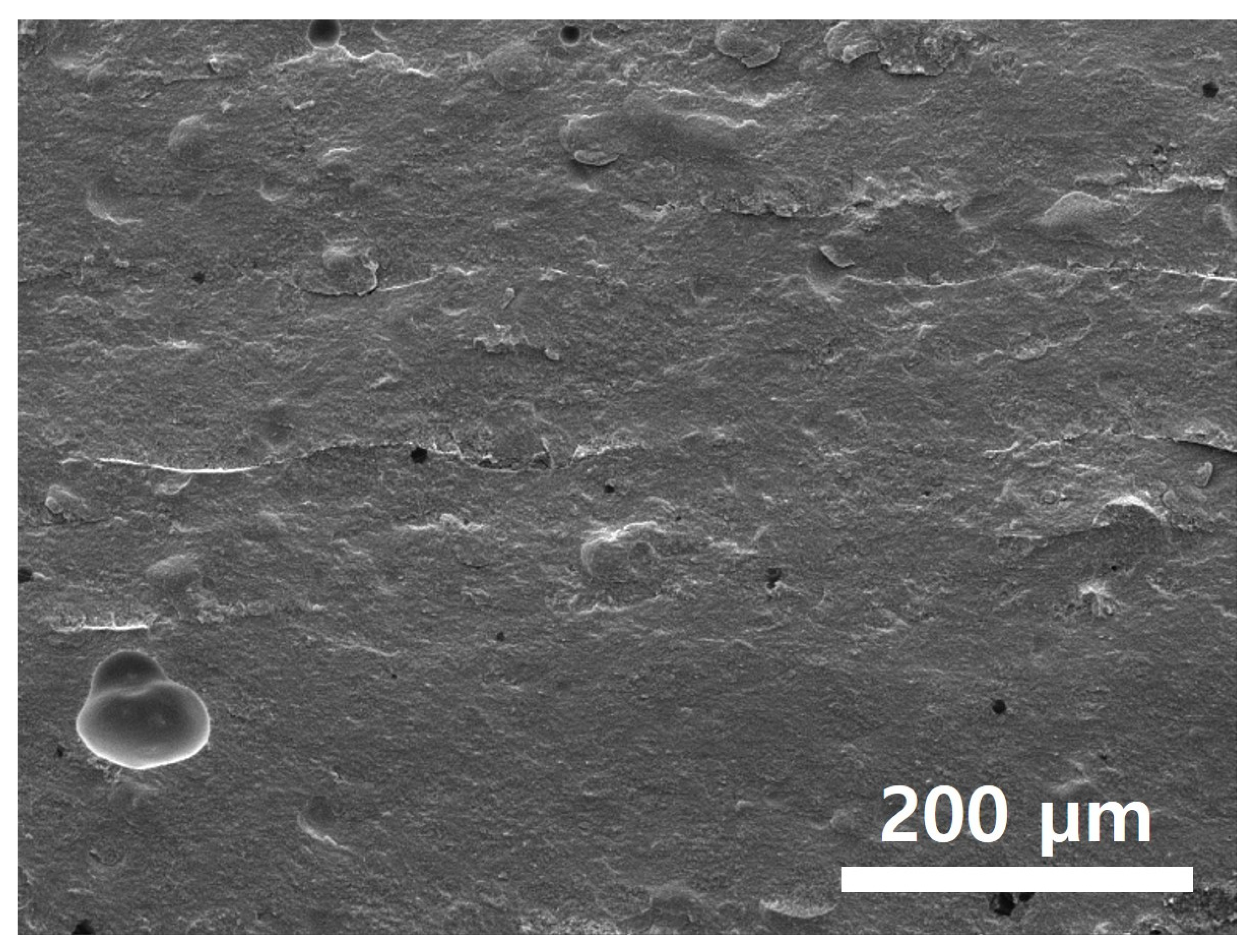 Polymers 15 01601 g019