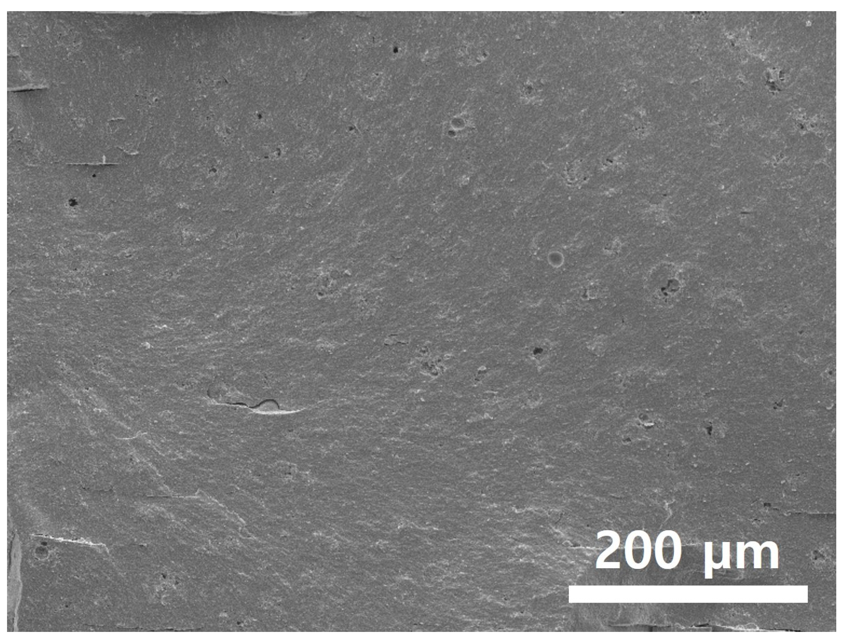 Polymers 15 01601 g021