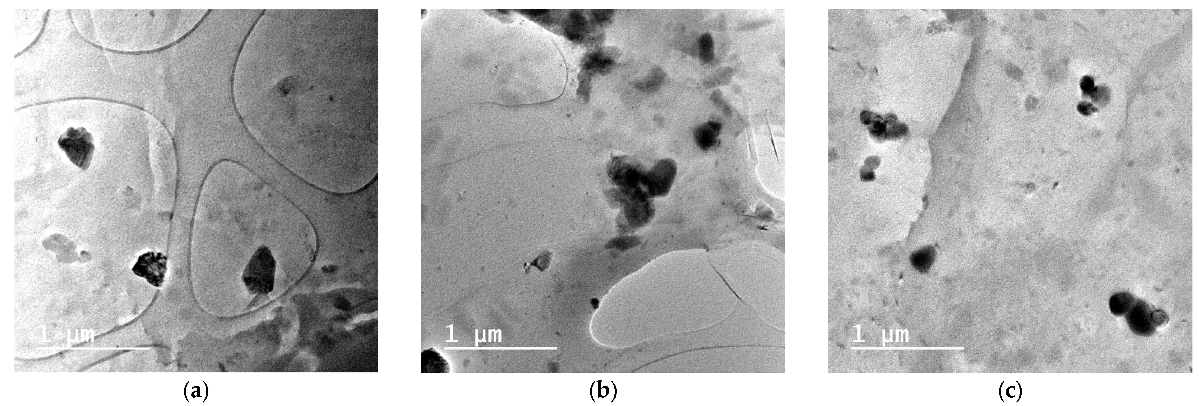 Polymers 15 01603 g002