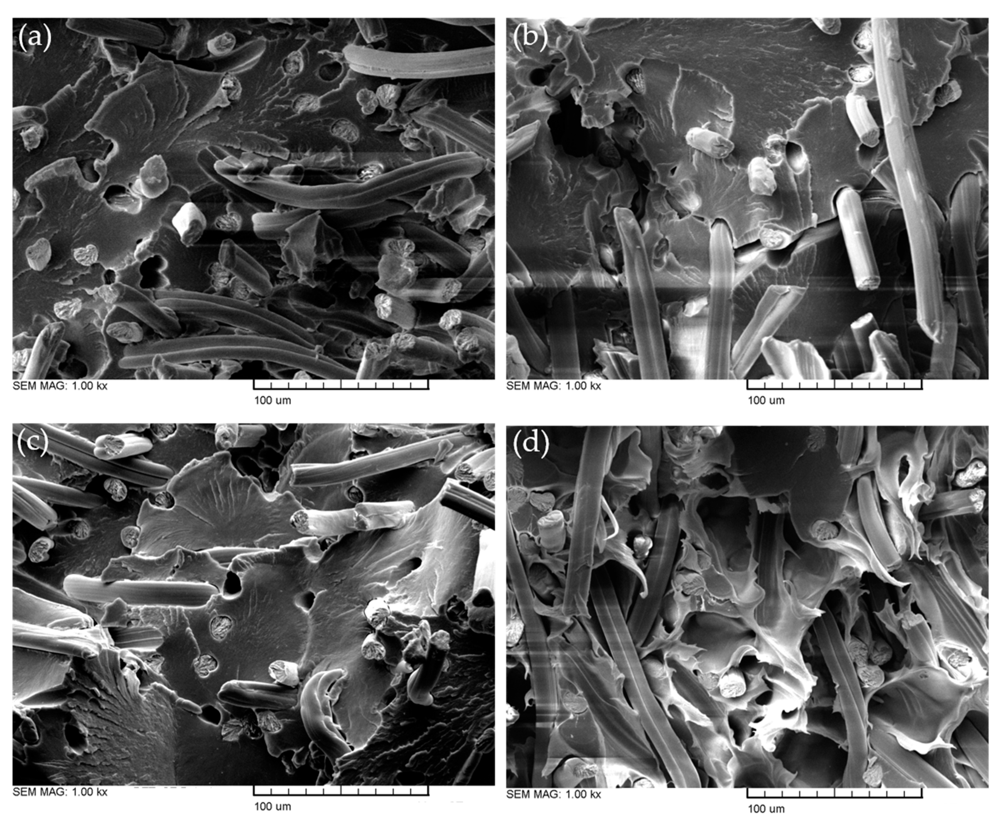Polymers 15 01606 g005