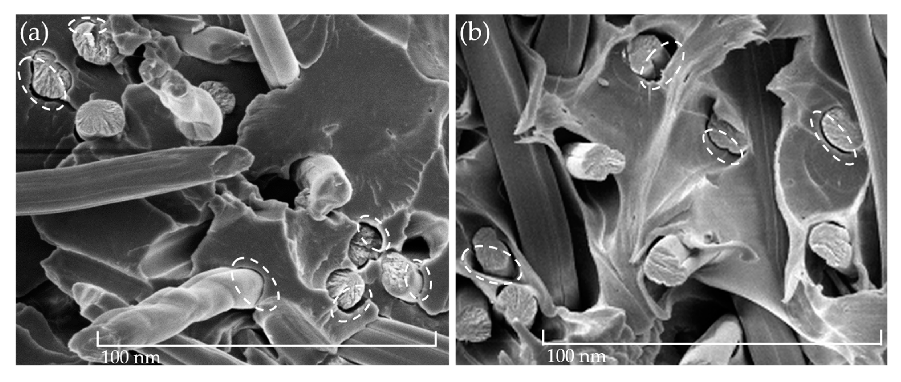 Polymers 15 01606 g006