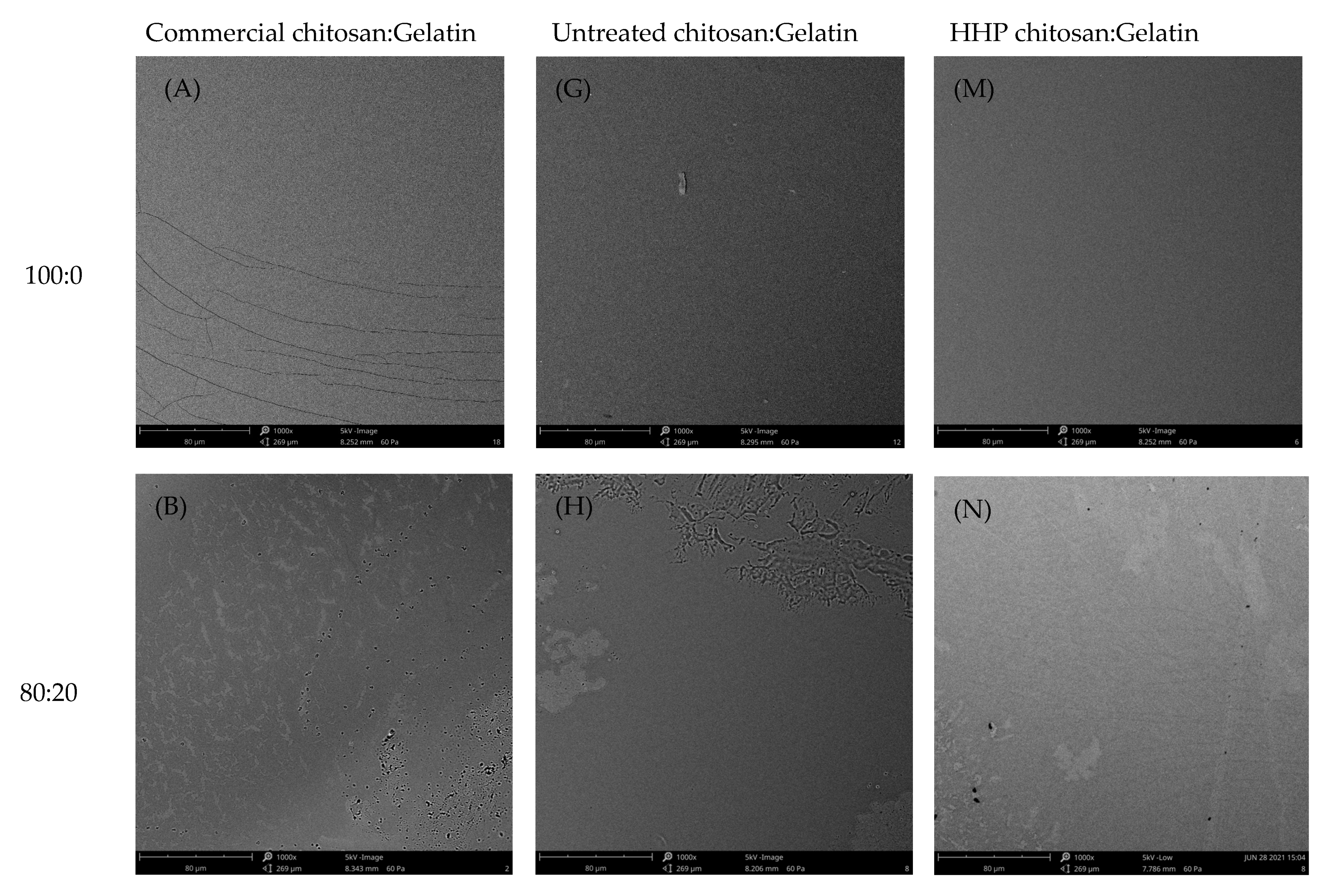 Polymers 15 01608 g004a