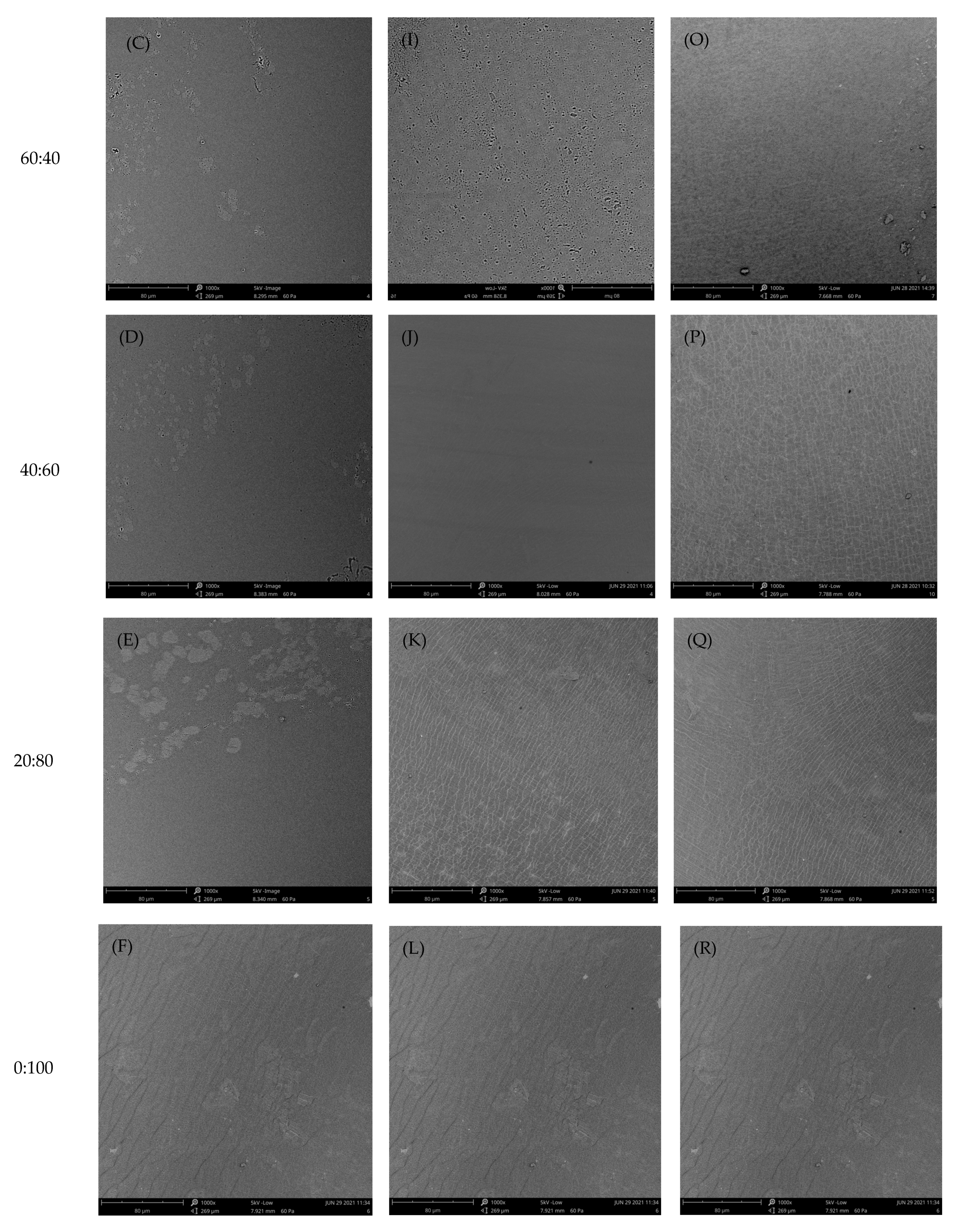 Polymers 15 01608 g004b