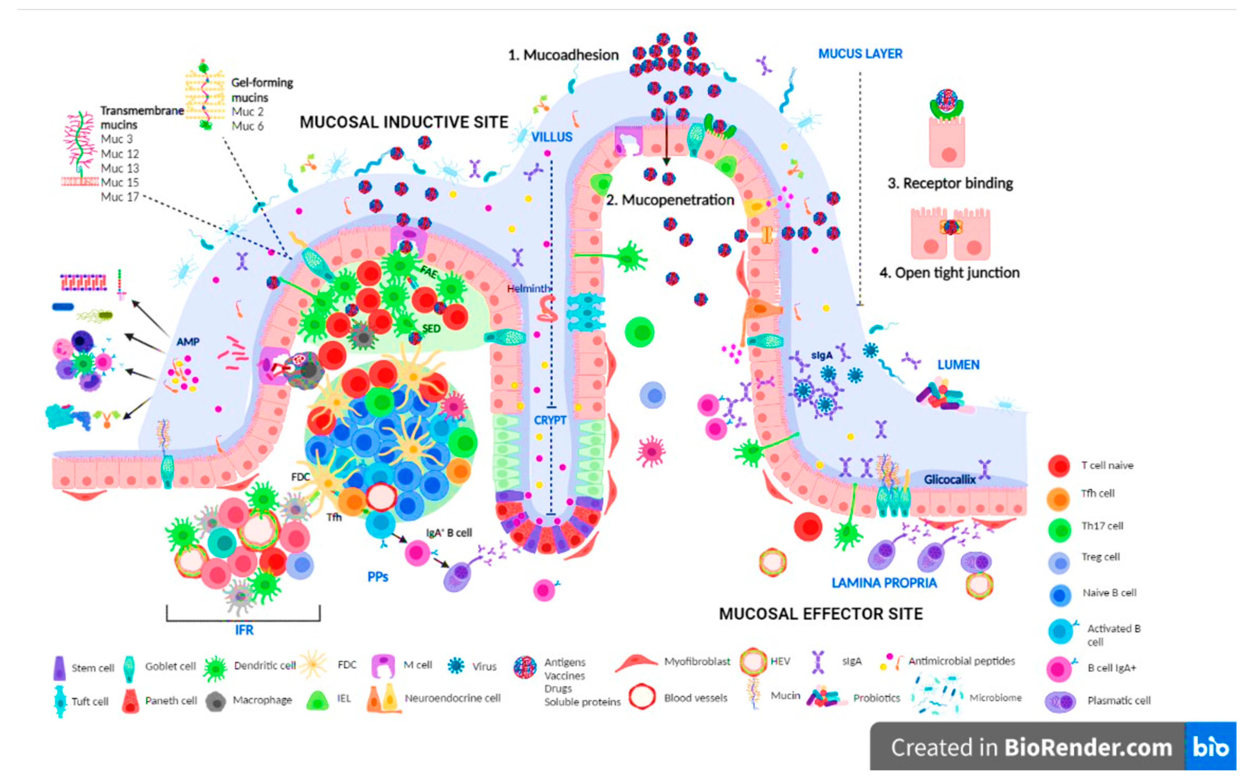 Polymers 15 01615 g001 Polymers 15 01615 g001