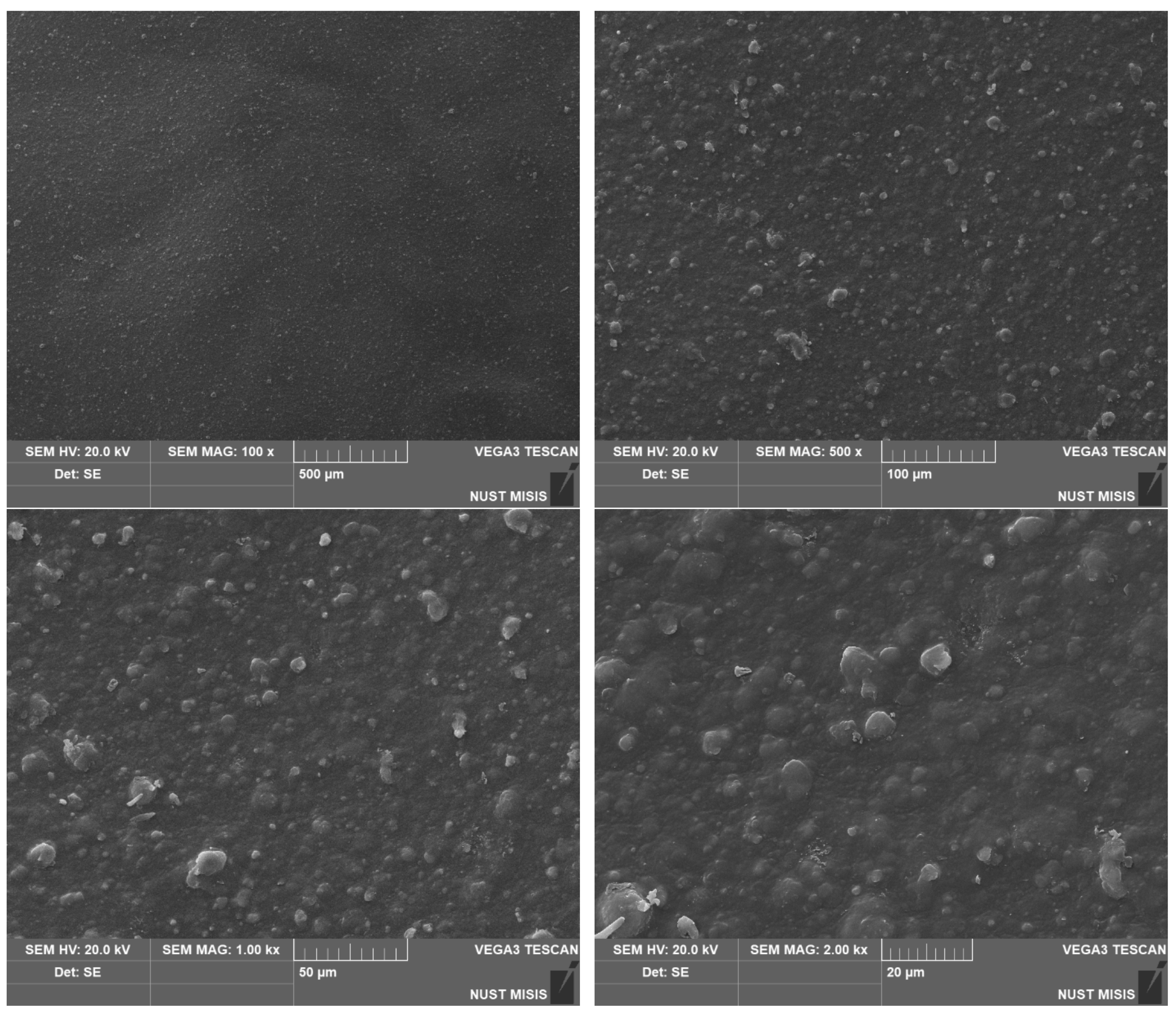 Polymers 15 01619 g010a