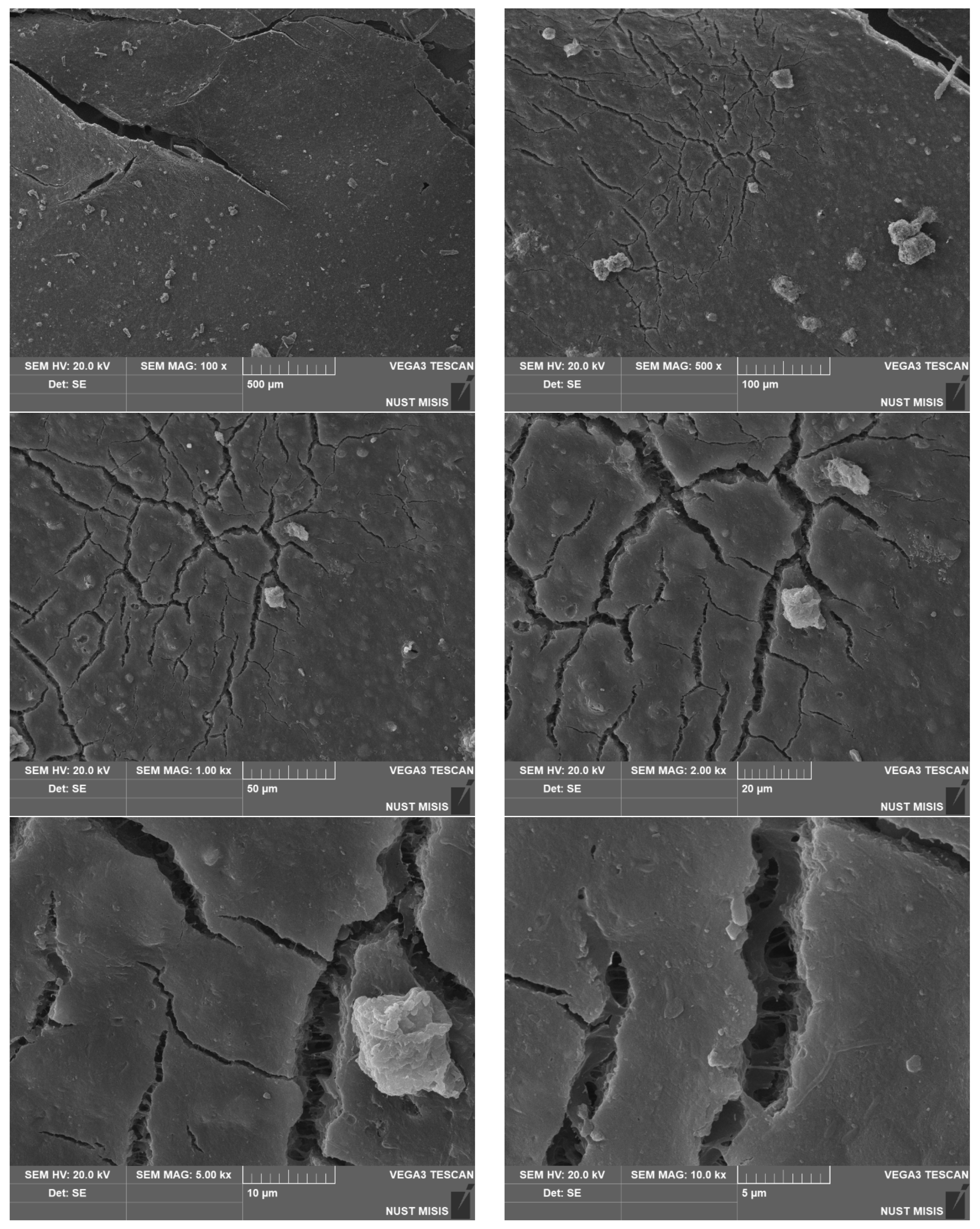 Polymers 15 01619 g011