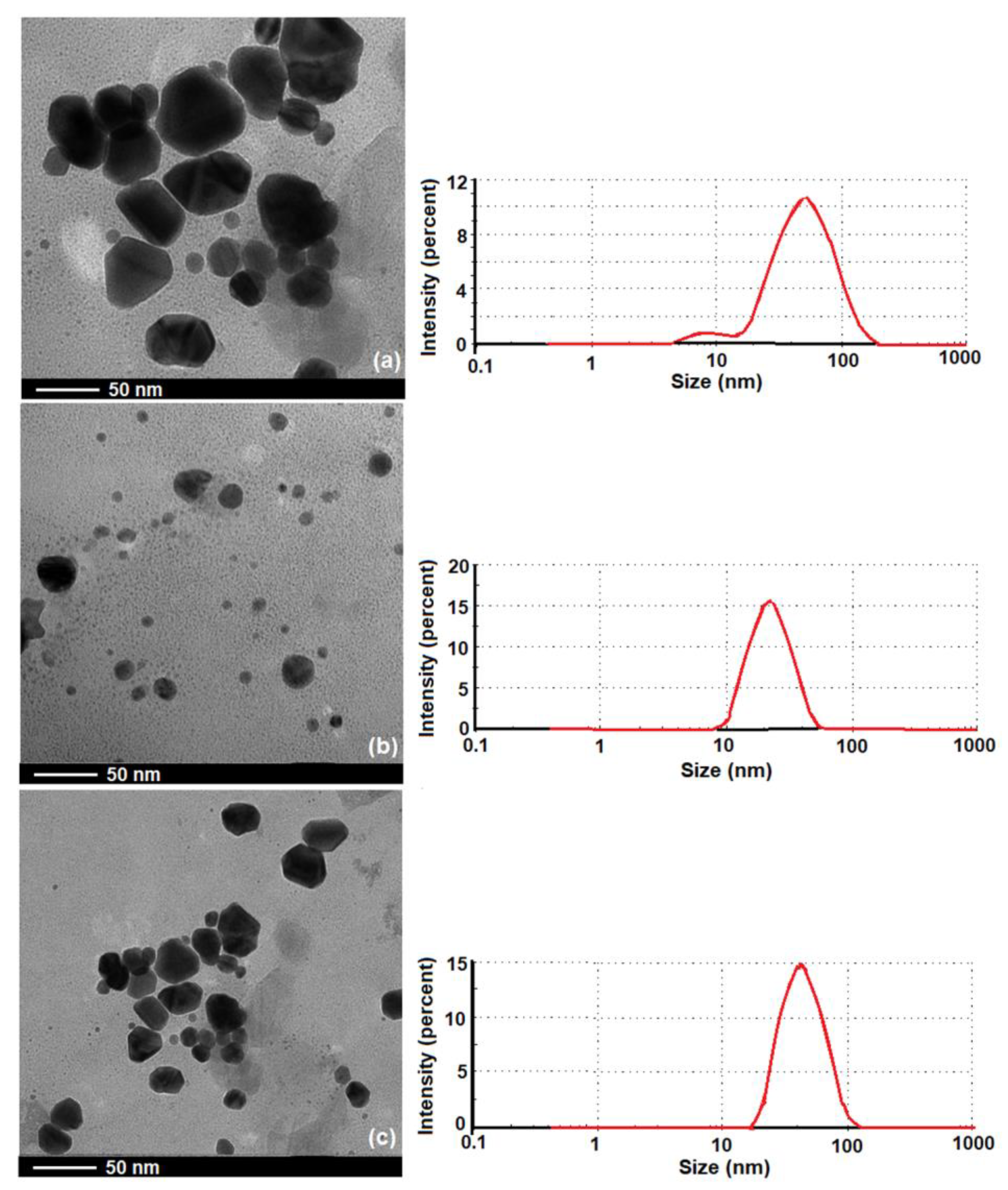 Polymers 15 01625 g007 Polymers 15 01625 g007