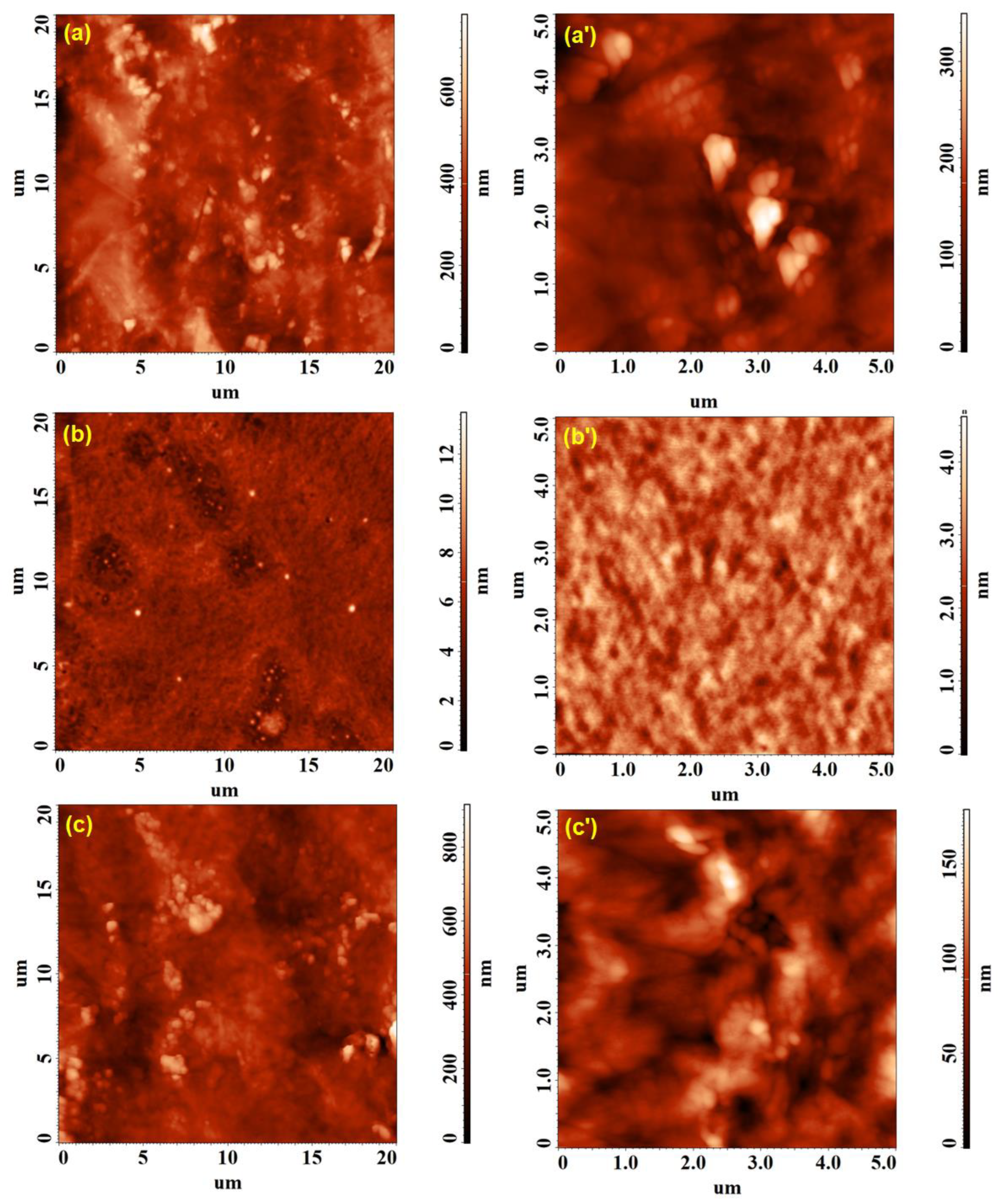 Polymers 15 01625 g008 Polymers 15 01625 g008