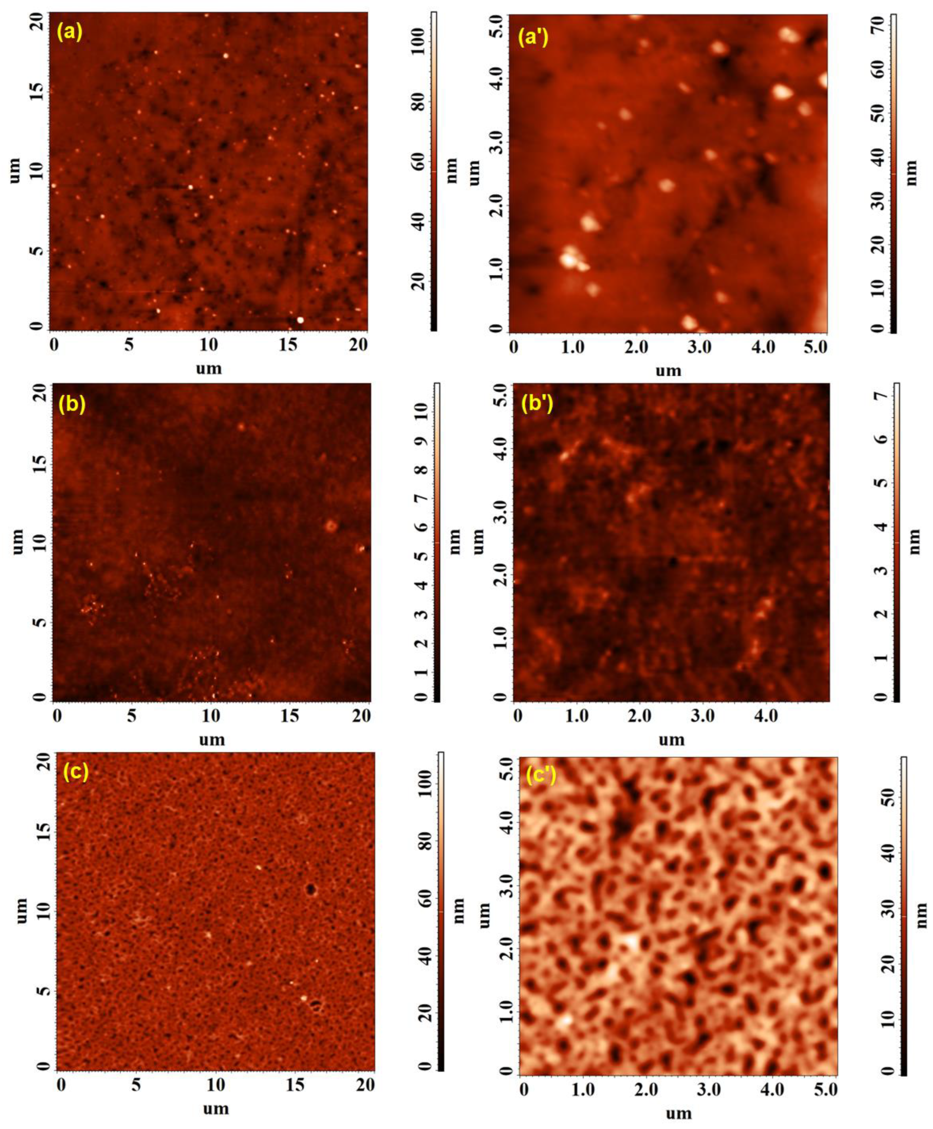 Polymers 15 01625 g009 Polymers 15 01625 g009