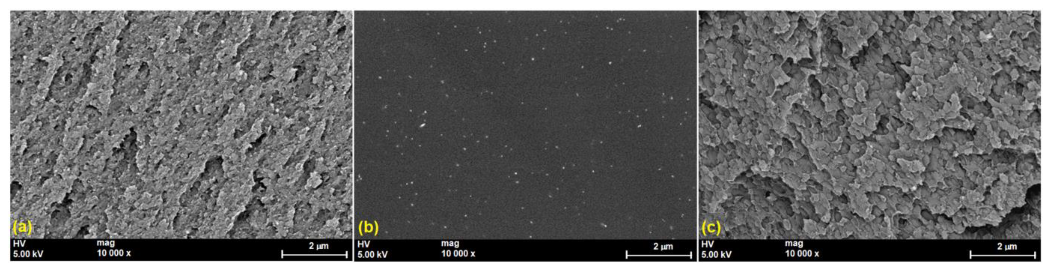 Polymers 15 01625 g010 Polymers 15 01625 g010