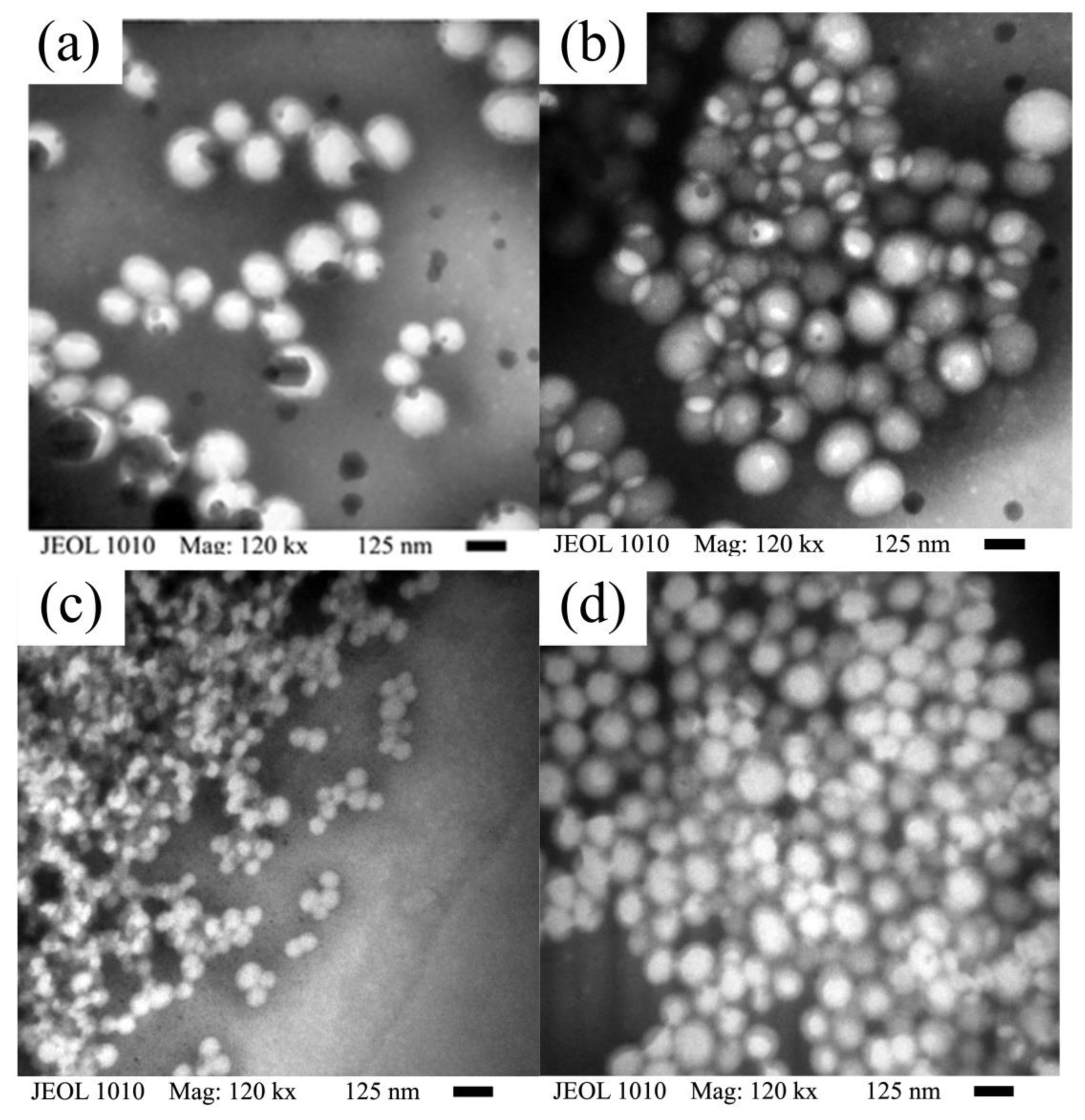 Polymers 15 01628 g010 Polymers 15 01628 g010