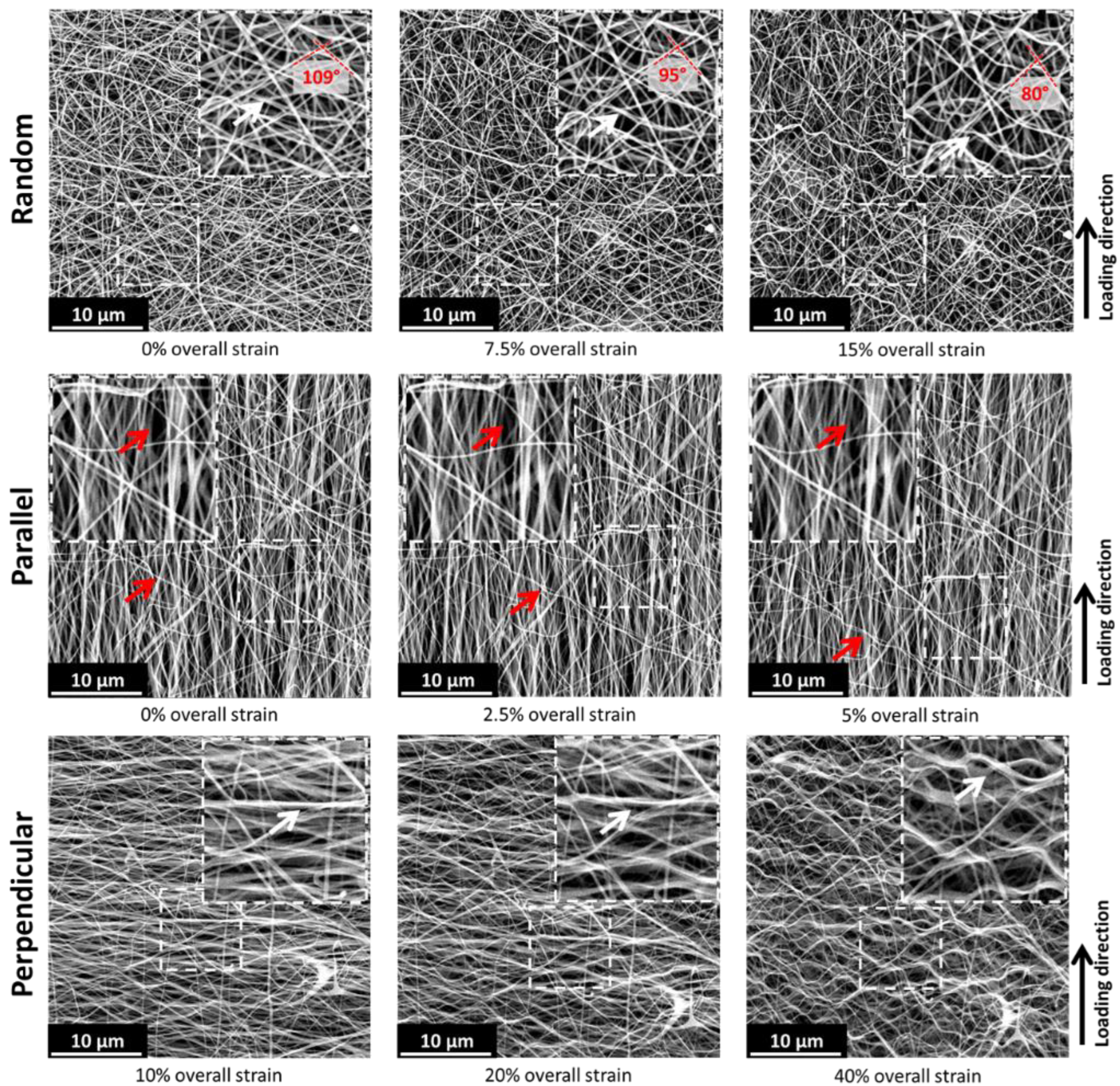 Polymers 15 01630 g003 Polymers 15 01630 g003