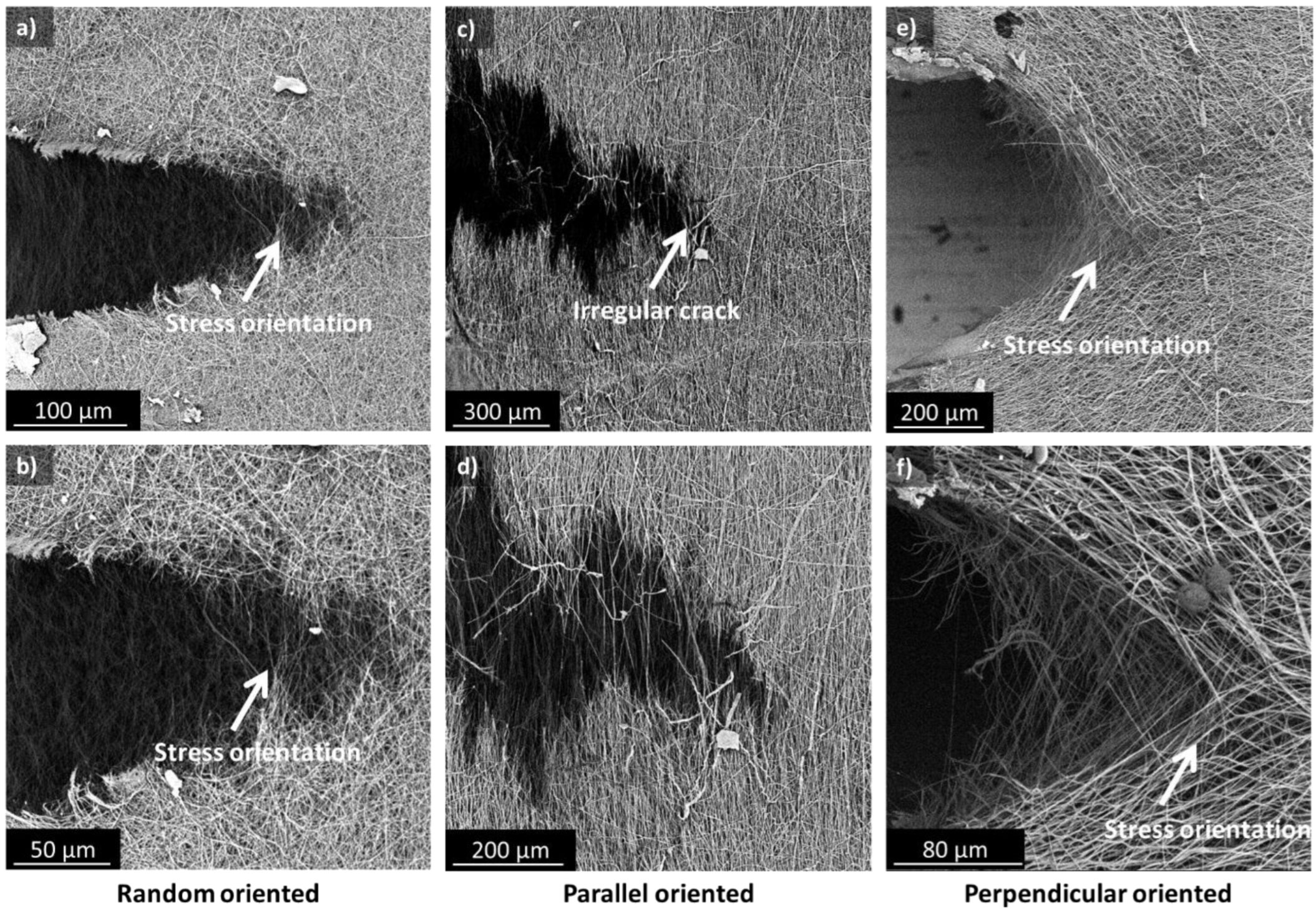 Polymers 15 01630 g007 Polymers 15 01630 g007