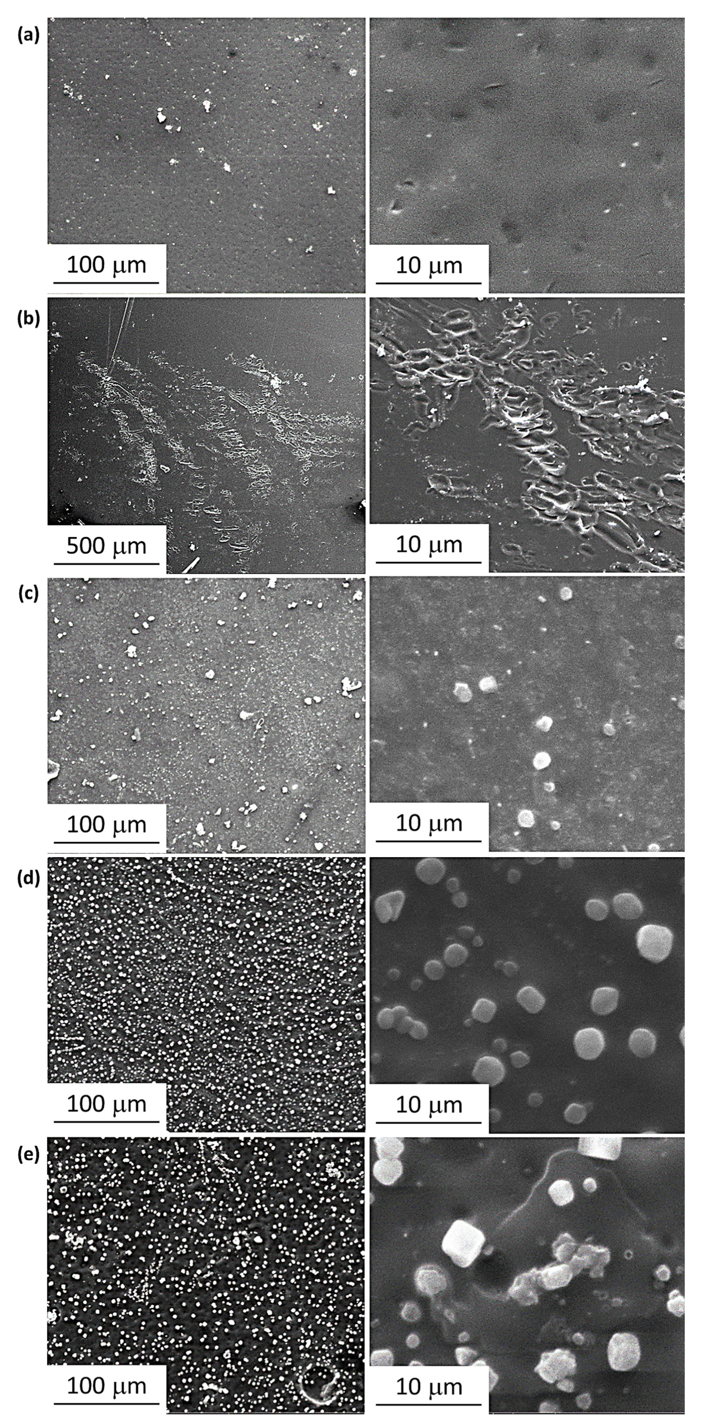 Polymers 15 01632 g009