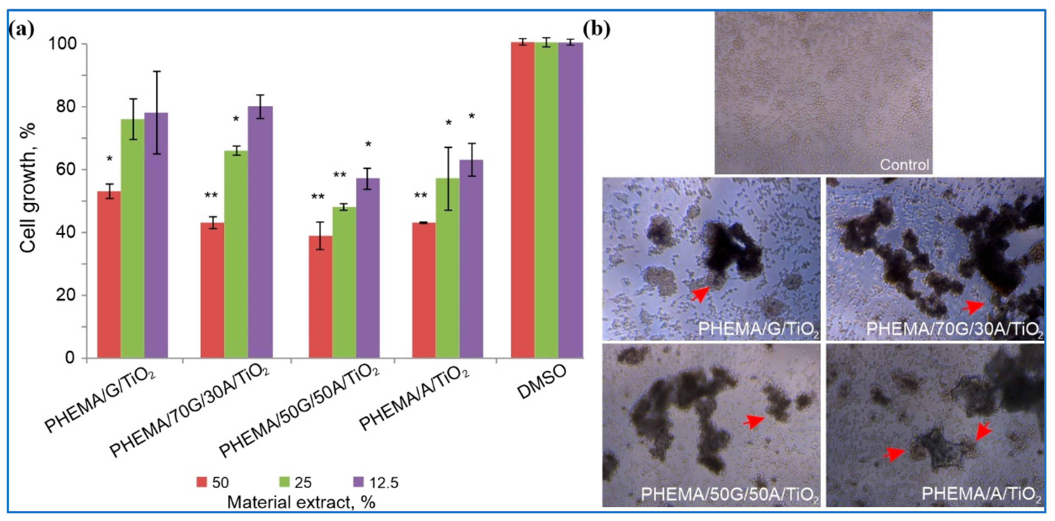 Polymers 15 01643 g007