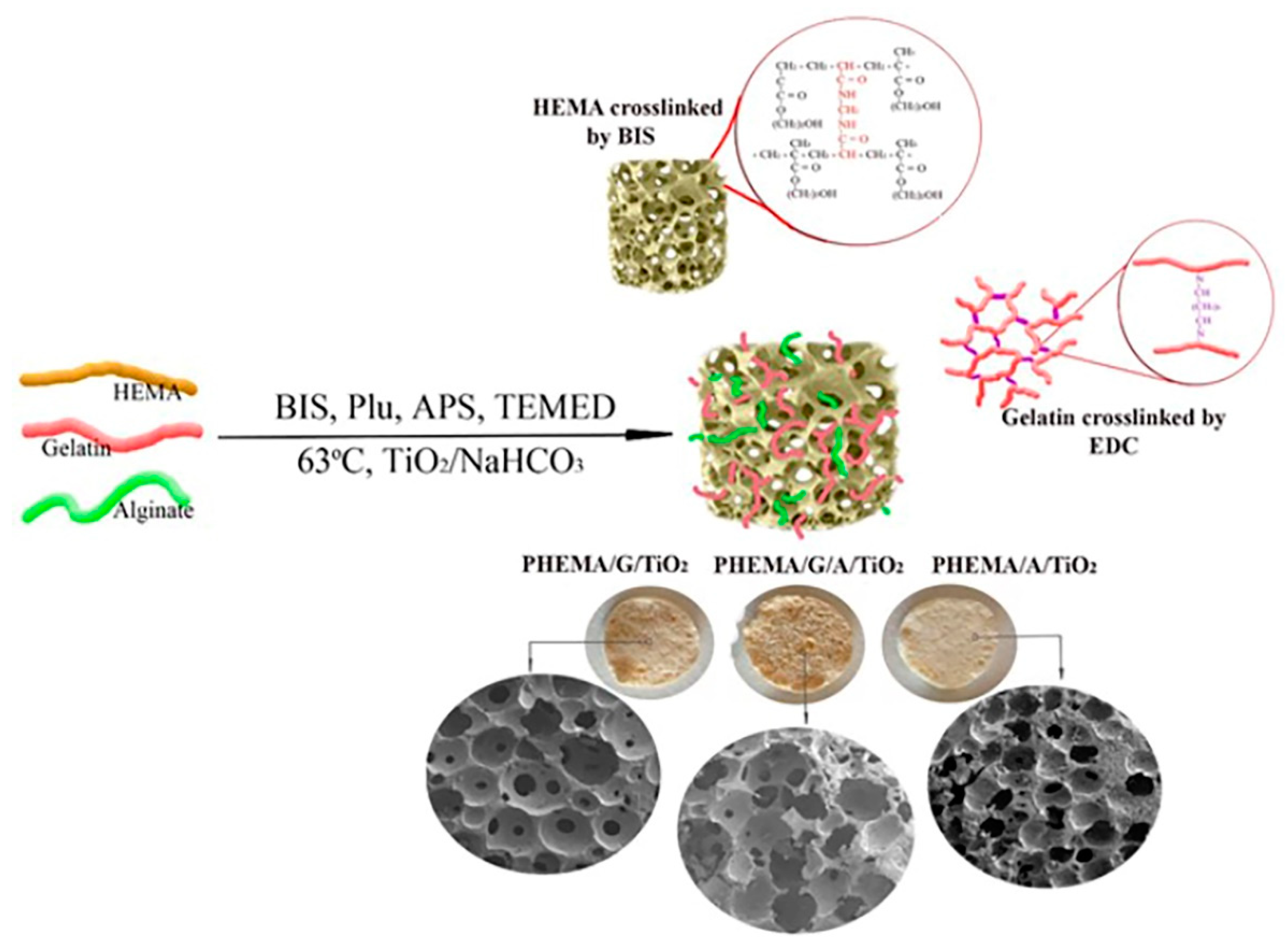 Polymers 15 01643 sch001