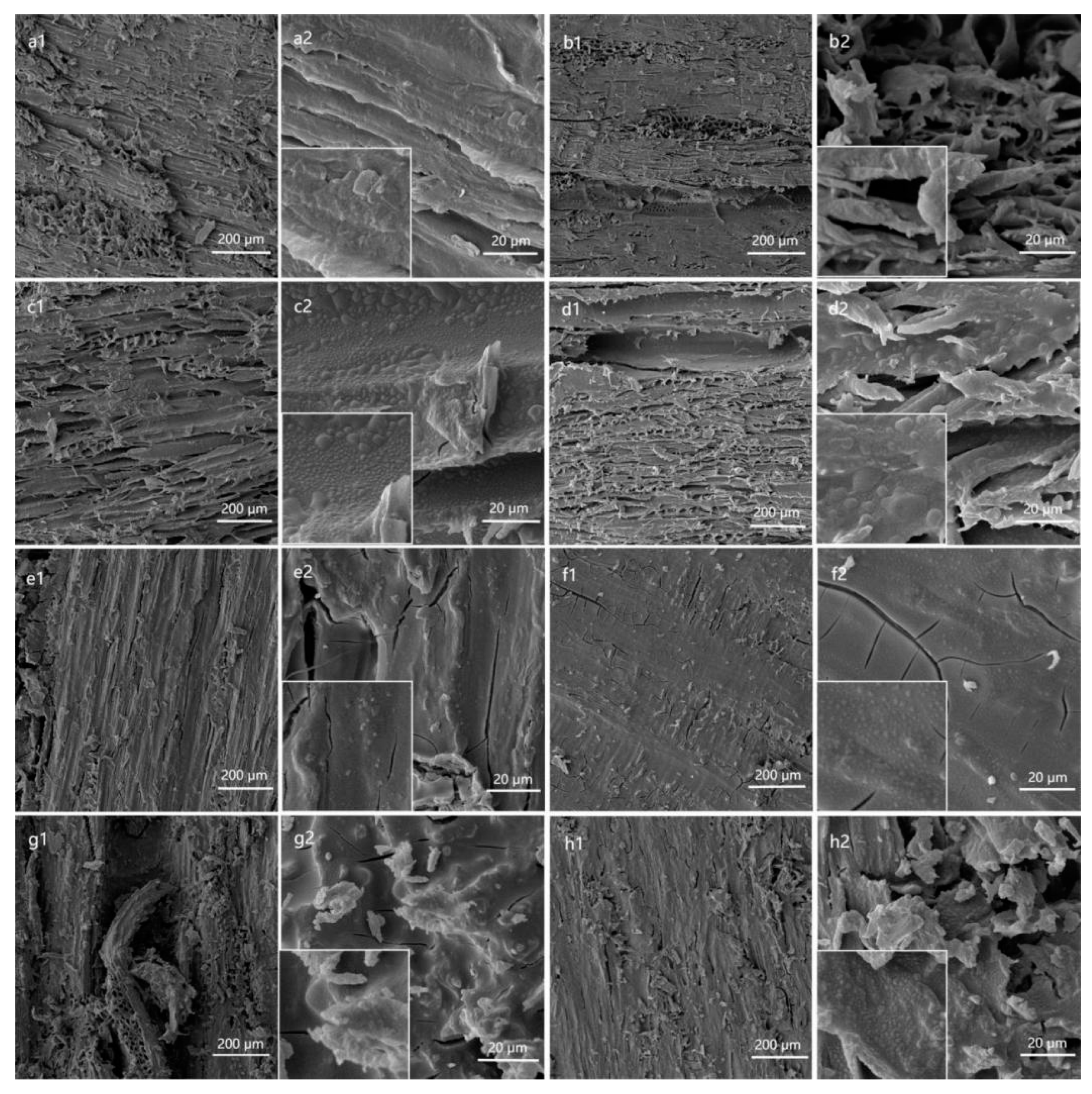 Polymers 15 01644 g004 Polymers 15 01644 g004
