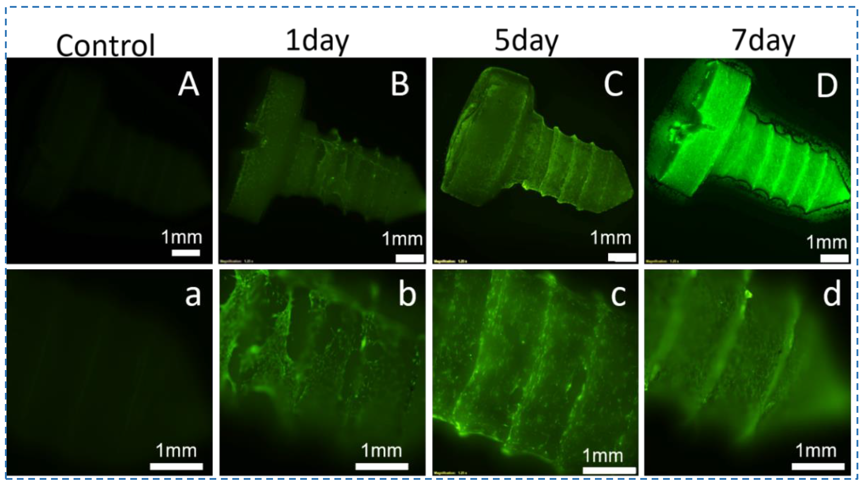 Polymers 15 01645 g007 Polymers 15 01645 g007
