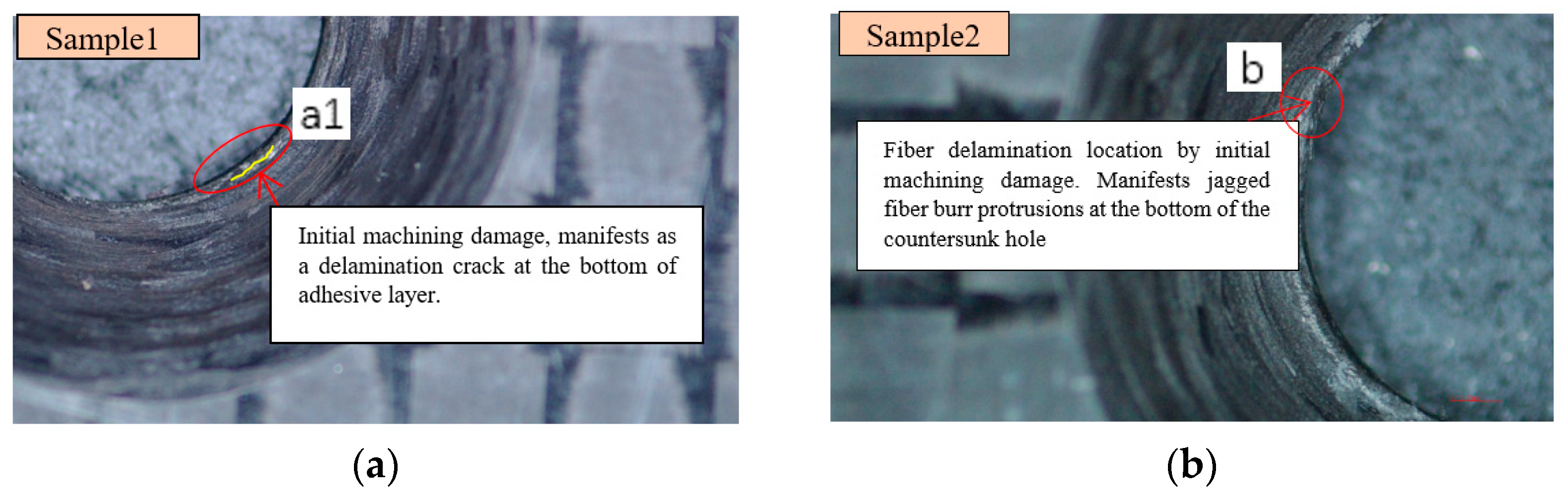 Polymers 15 01648 g003 Polymers 15 01648 g003