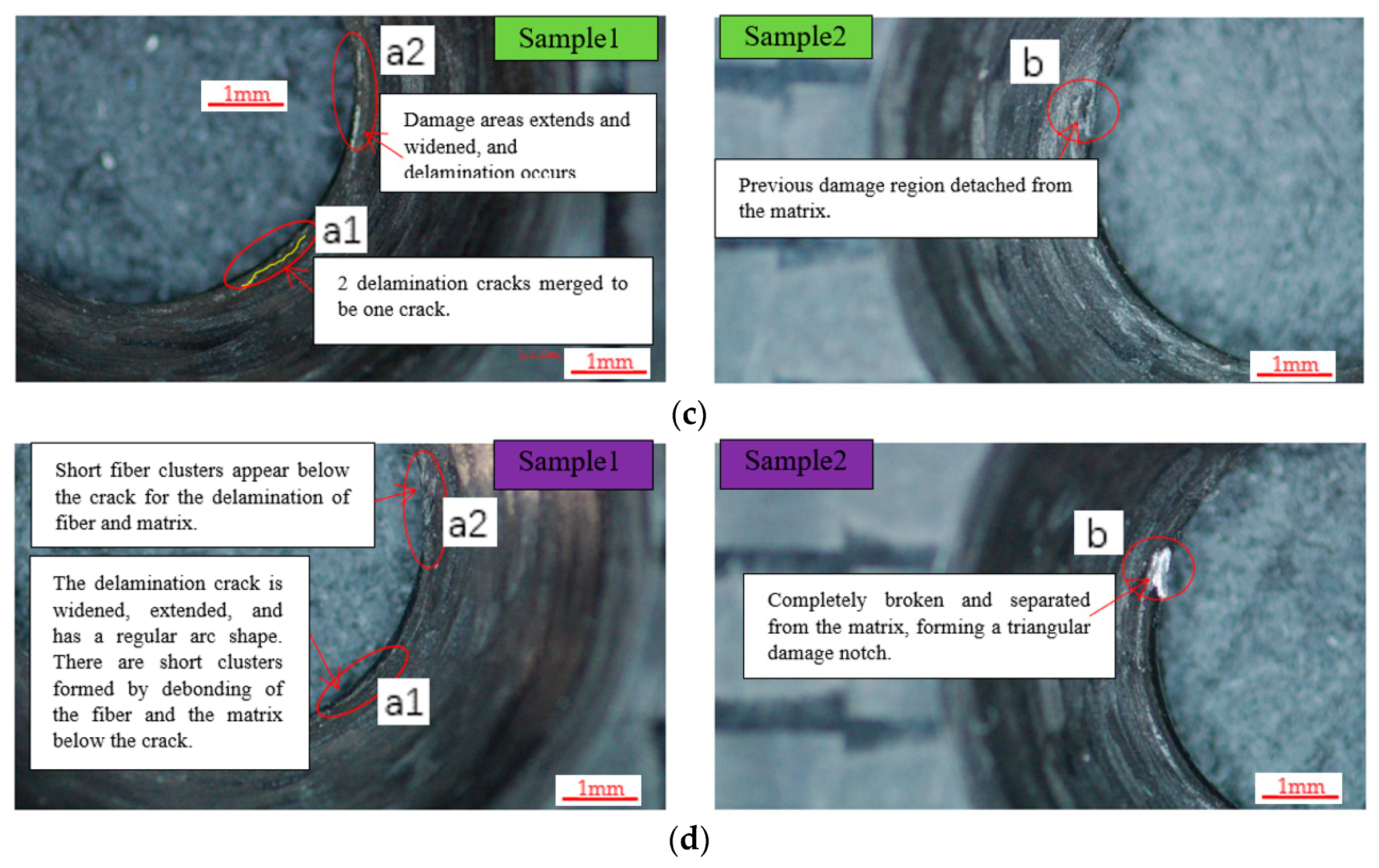 Polymers 15 01648 g004b Polymers 15 01648 g004b