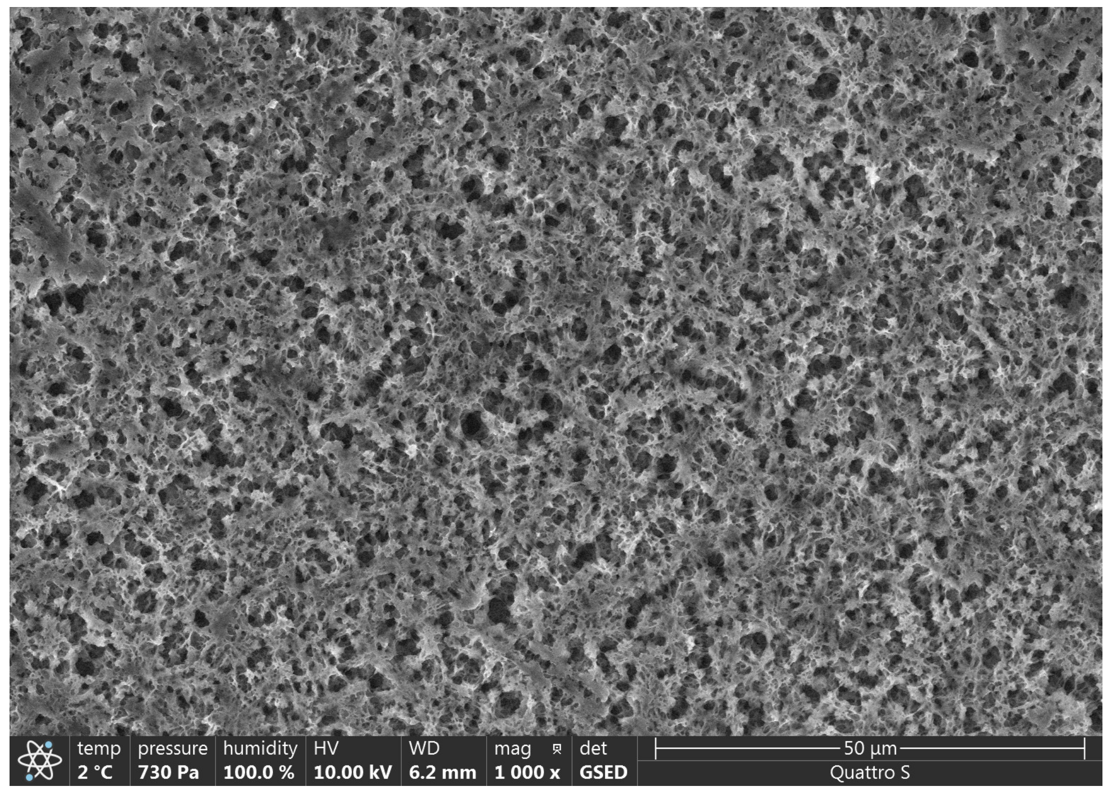 Polymers 15 01649 g002