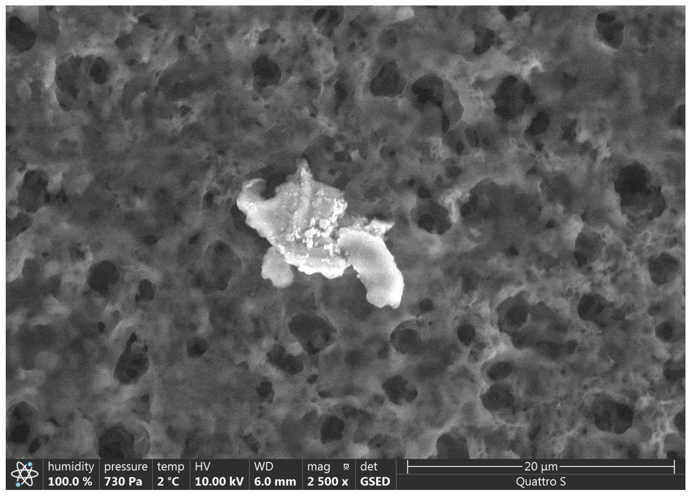 Polymers 15 01649 g006