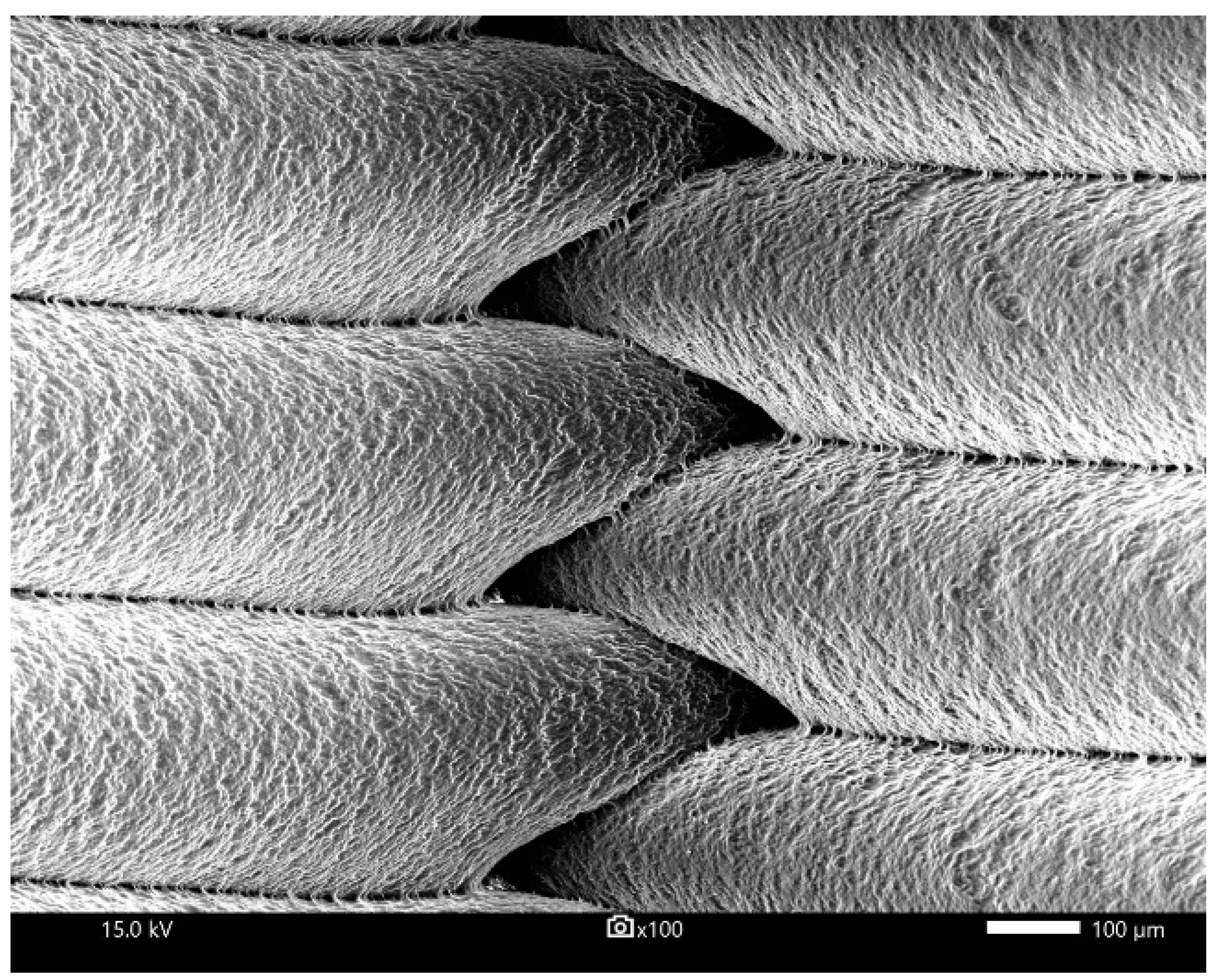 Polymers 15 01651 g006 Polymers 15 01651 g006