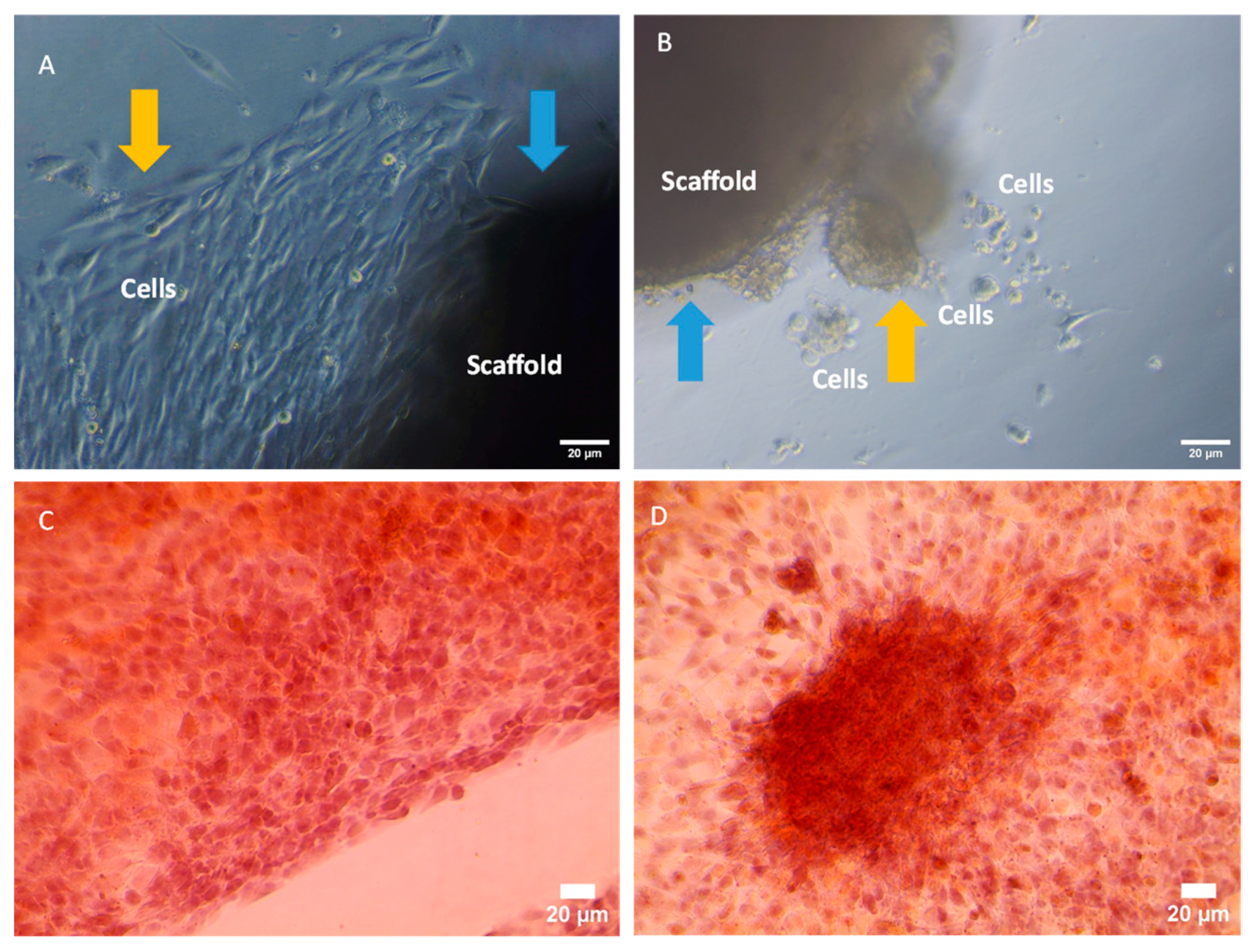 Polymers 15 01653 g007