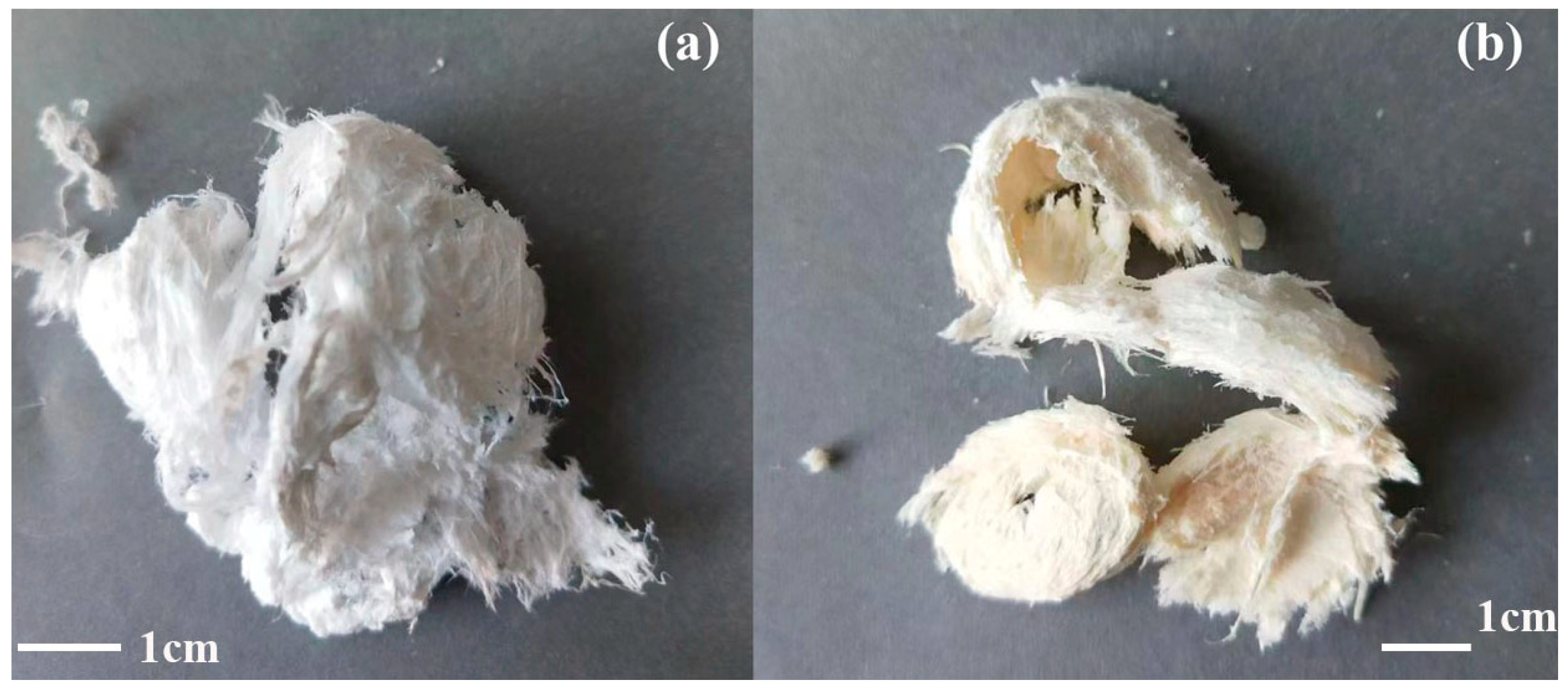 Polymers 15 01659 g001 Polymers 15 01659 g001