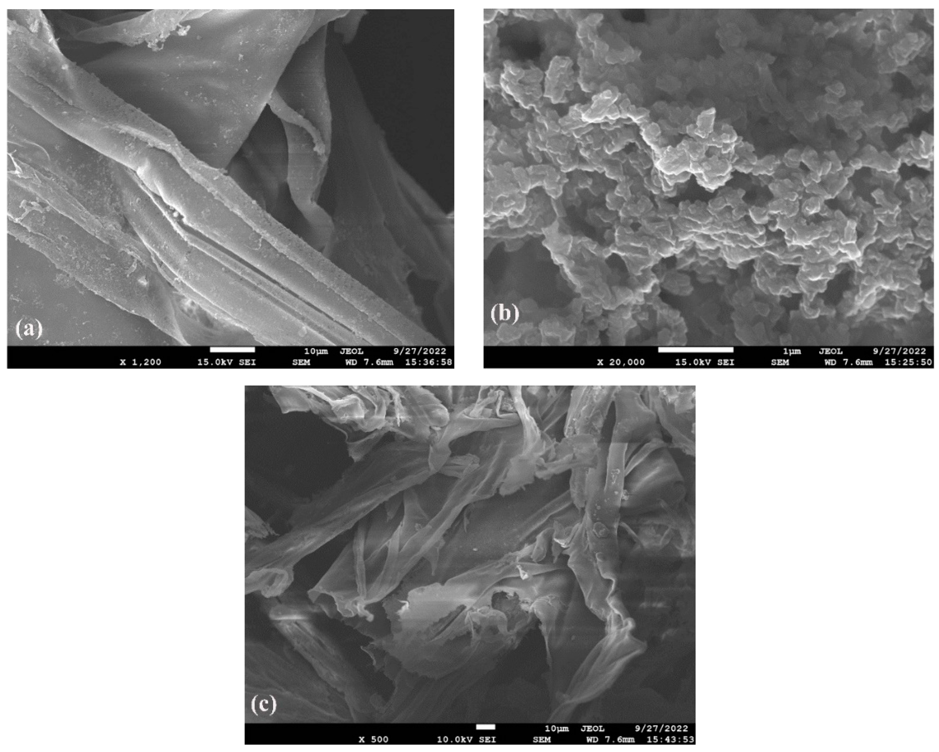 Polymers 15 01659 g003 Polymers 15 01659 g003