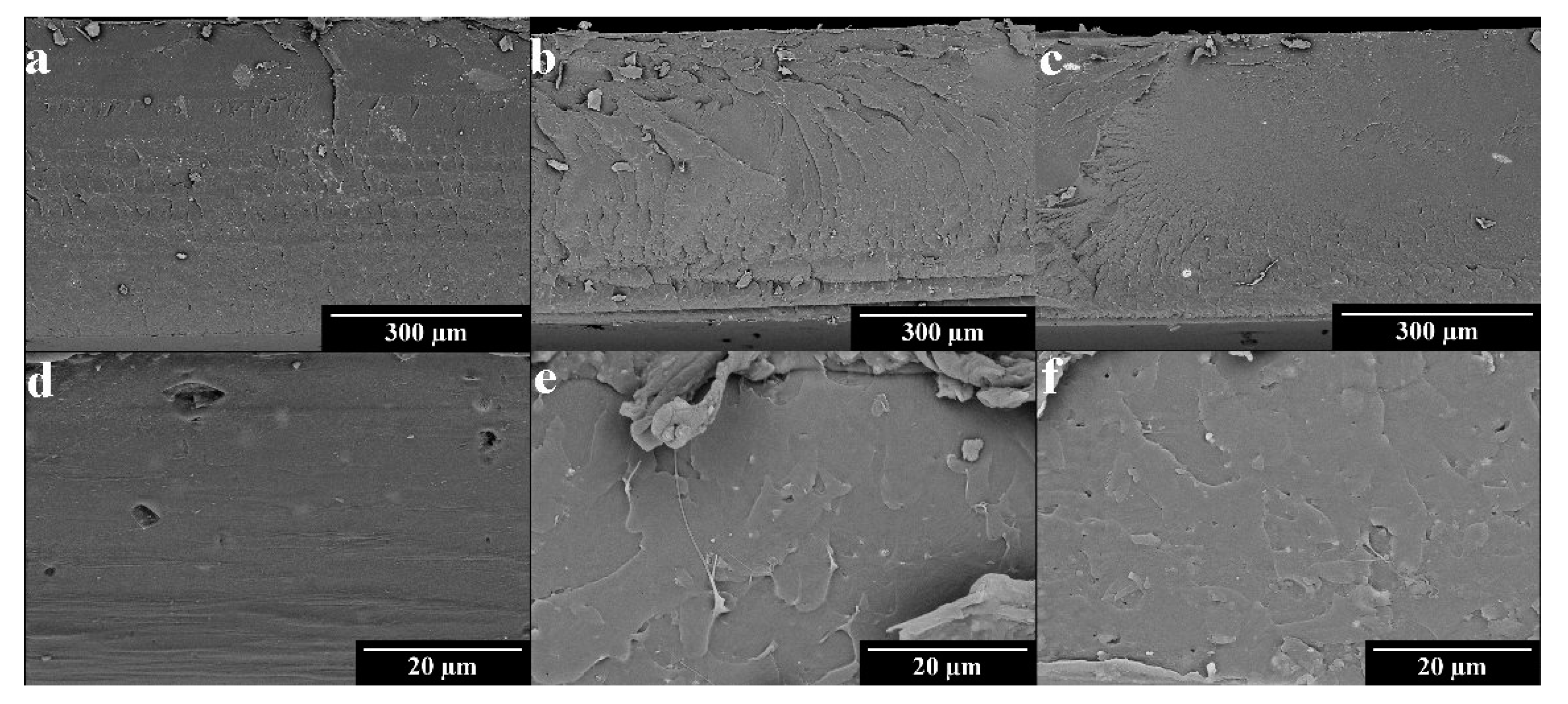 Polymers 15 01661 g003