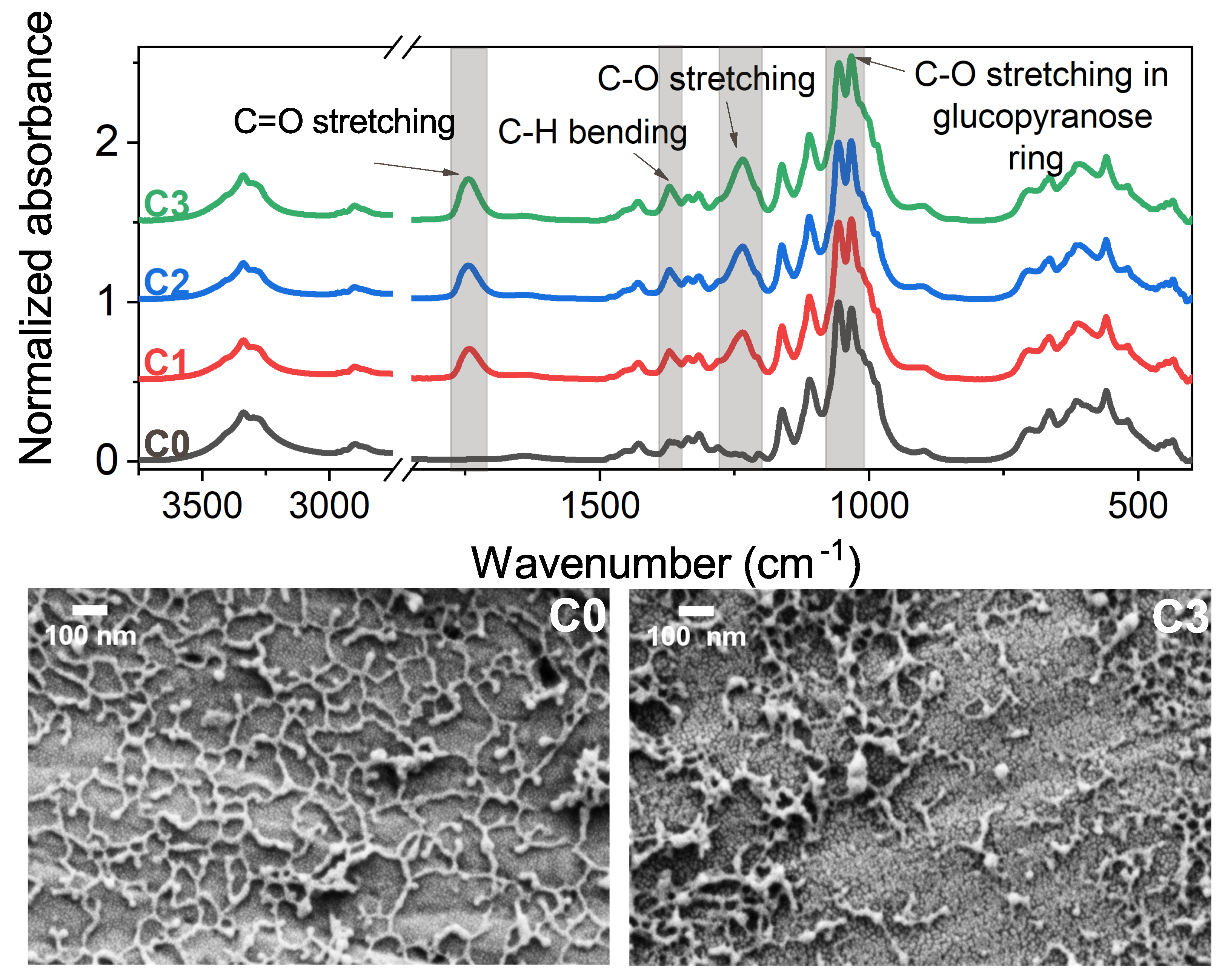 Polymers 15 01663 g002