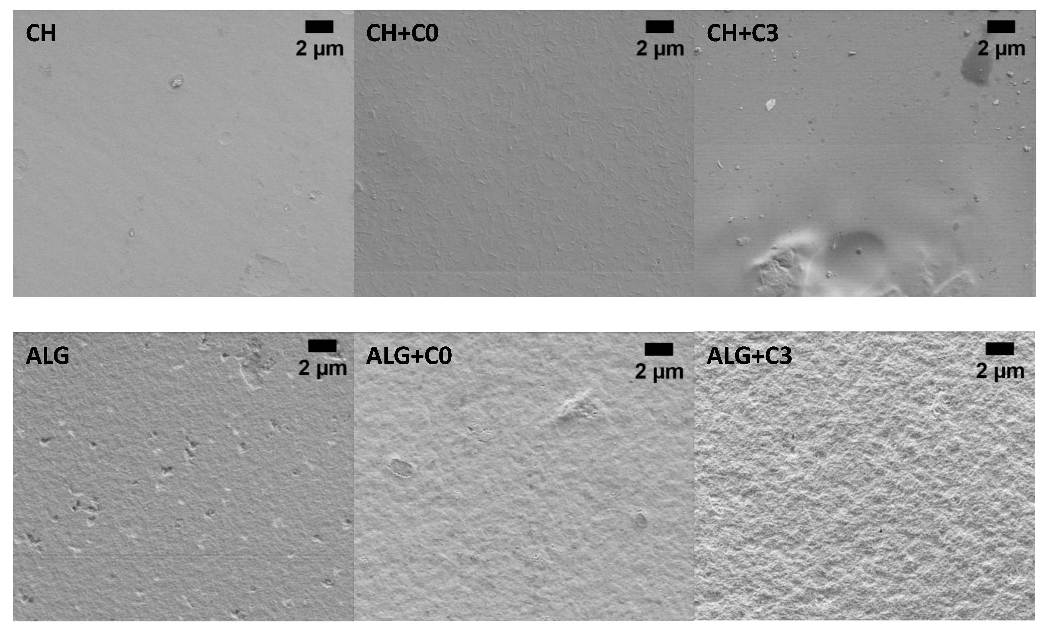 Polymers 15 01663 g003