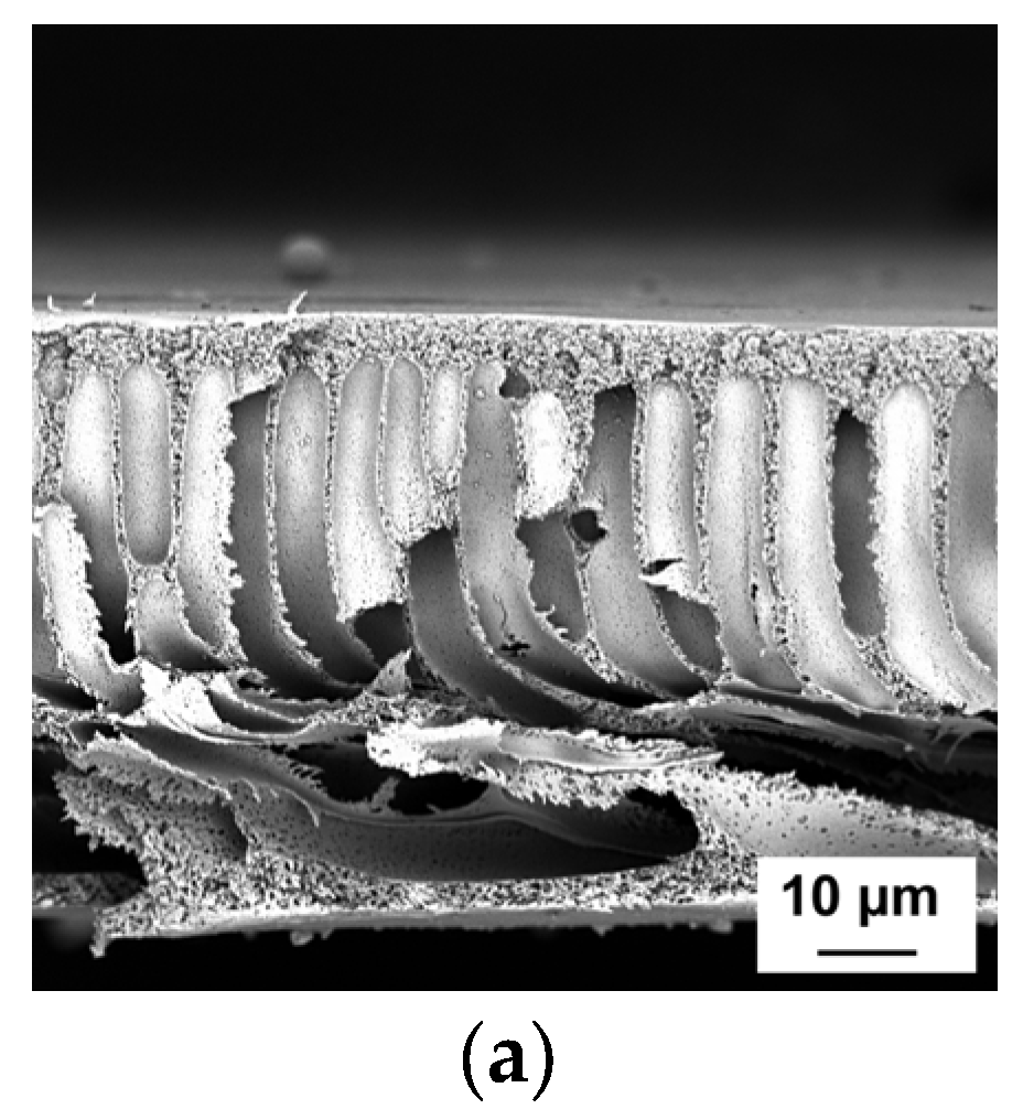 Polymers 15 01664 g002a Polymers 15 01664 g002a